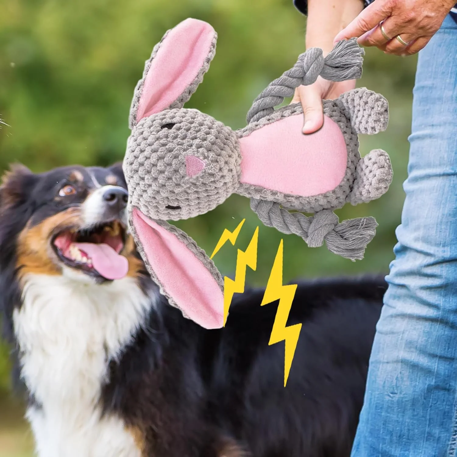 اسباب بازی های سوت دار سگ - اسباب بازی های جویدنی پولیشی، بازی های تعاملی ورزشی برای آموزش فچ، کمپینگ در فضای باز و داخل خانه، زمان تنهایی اسباب بازی های سوت دار سگ - اسباب بازی های جویدنی پولیشی، بازی های تعاملی ورزشی برای آموزش فچ، کمپینگ در فضای باز و داخل خانه، زمان تنهایی