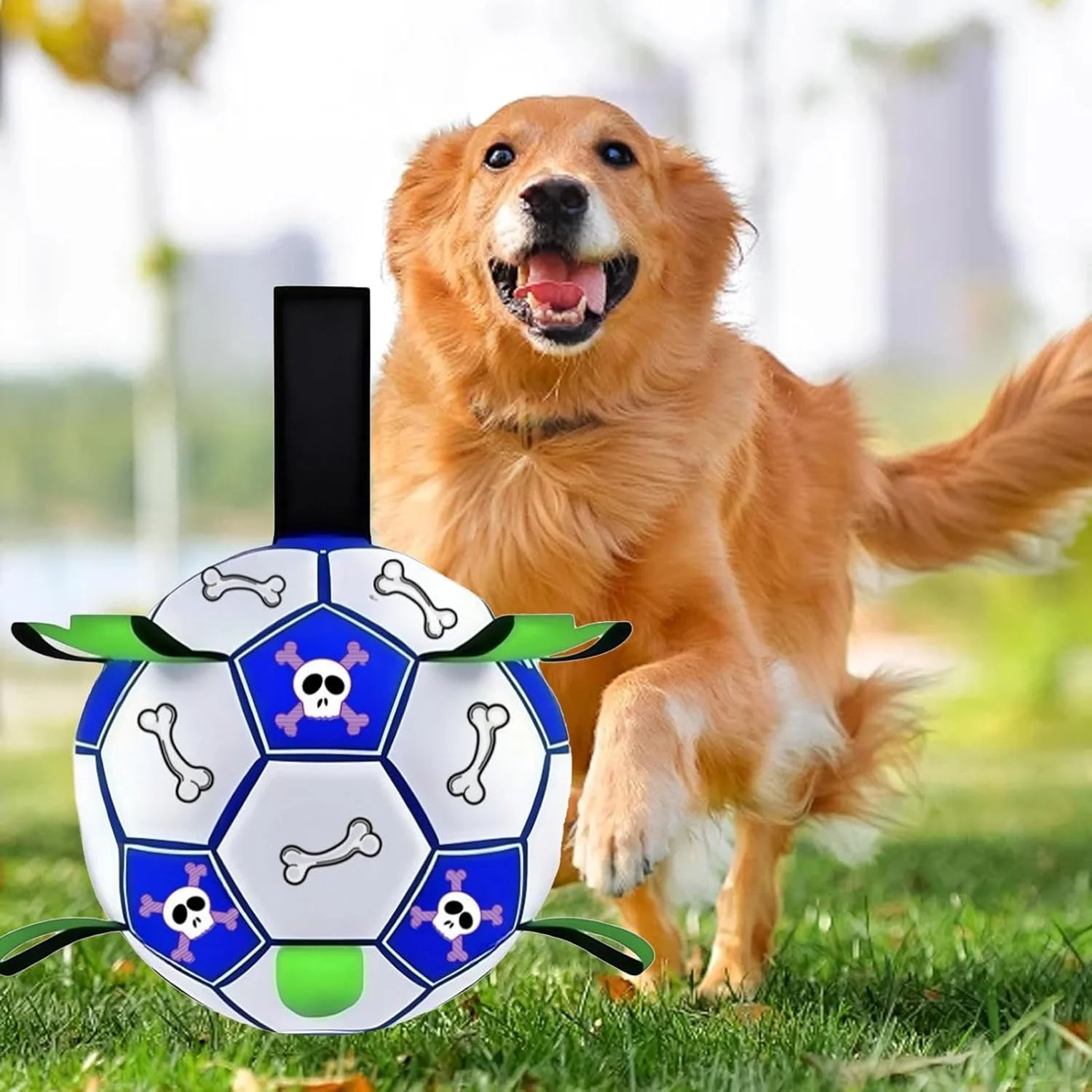 توپ فوتبال سگ - توپ فوتبال آموزشی برای توله سگ، توپ چرمی مصنوعی غیر قابل تخریب برای حیوانات، مناسب برای سرگرمی و بازی در حیاط خلوت، حیاط، ساحل و باغ توپ فوتبال سگ - توپ فوتبال آموزشی برای توله سگ، توپ چرمی مصنوعی غیر قابل تخریب برای حیوانات، مناسب برای سرگرمی و بازی در حیاط خلوت، حیاط، ساحل و باغ
