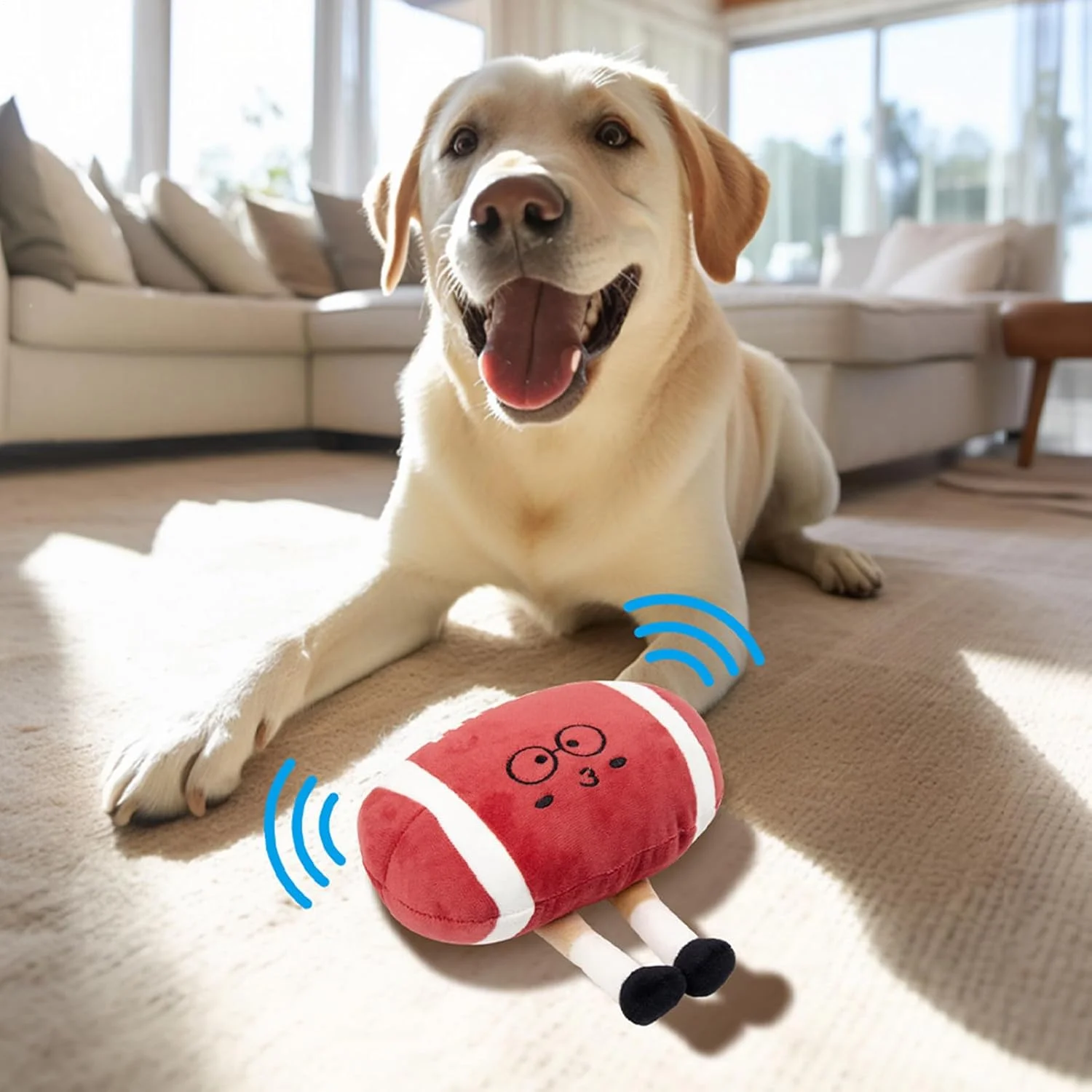 توپ فوتبال سگ - توپ اسباب بازی نرم پارچه ای فوتبال | توپ ورزشی پارچه ای نرم و صدا دار، لوازم بازی حیوانات خانگی برای توله سگ، گربه، تعقیب، آوردن، کشیدن، بازی در خانه، شکرگزاری، کریسمس توپ فوتبال سگ - توپ اسباب بازی نرم پارچه ای فوتبال | توپ ورزشی پارچه ای نرم و صدا دار، لوازم بازی حیوانات خانگی برای توله سگ، گربه، تعقیب، آوردن، کشیدن، بازی در خانه، شکرگزاری، کریسمس