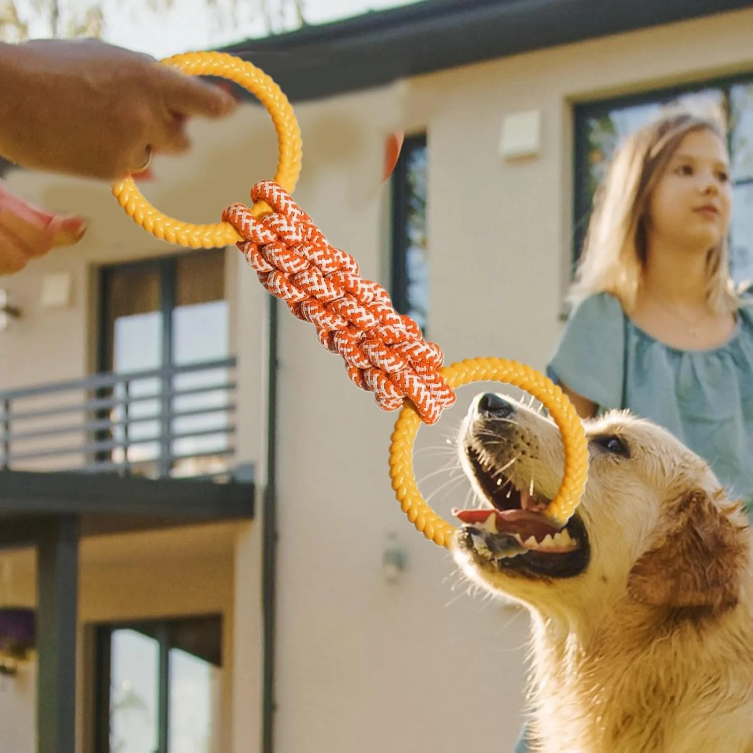 طناب جویدنی سگ، اسباب بازی طناب کشی برای سگ ها، لوازم جویدنی برای ساییدن دندان توله سگ برای بازی در حیاط، چمن، باغ، پارک، آپارتمان، اتاق نشیمن، اتاق خواب، پاسیو، ساحل، اتاق مطالعه