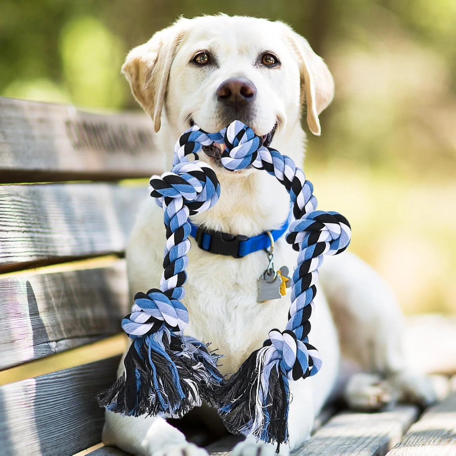 طناب سگ | اسباب بازی تمیز کننده دندان توله سگ | طناب جویدنی سگ برای نژادهای بزرگ و متوسط، تسکین بی حوصلگی جویدن تهاجمی، بازی در فضای باز