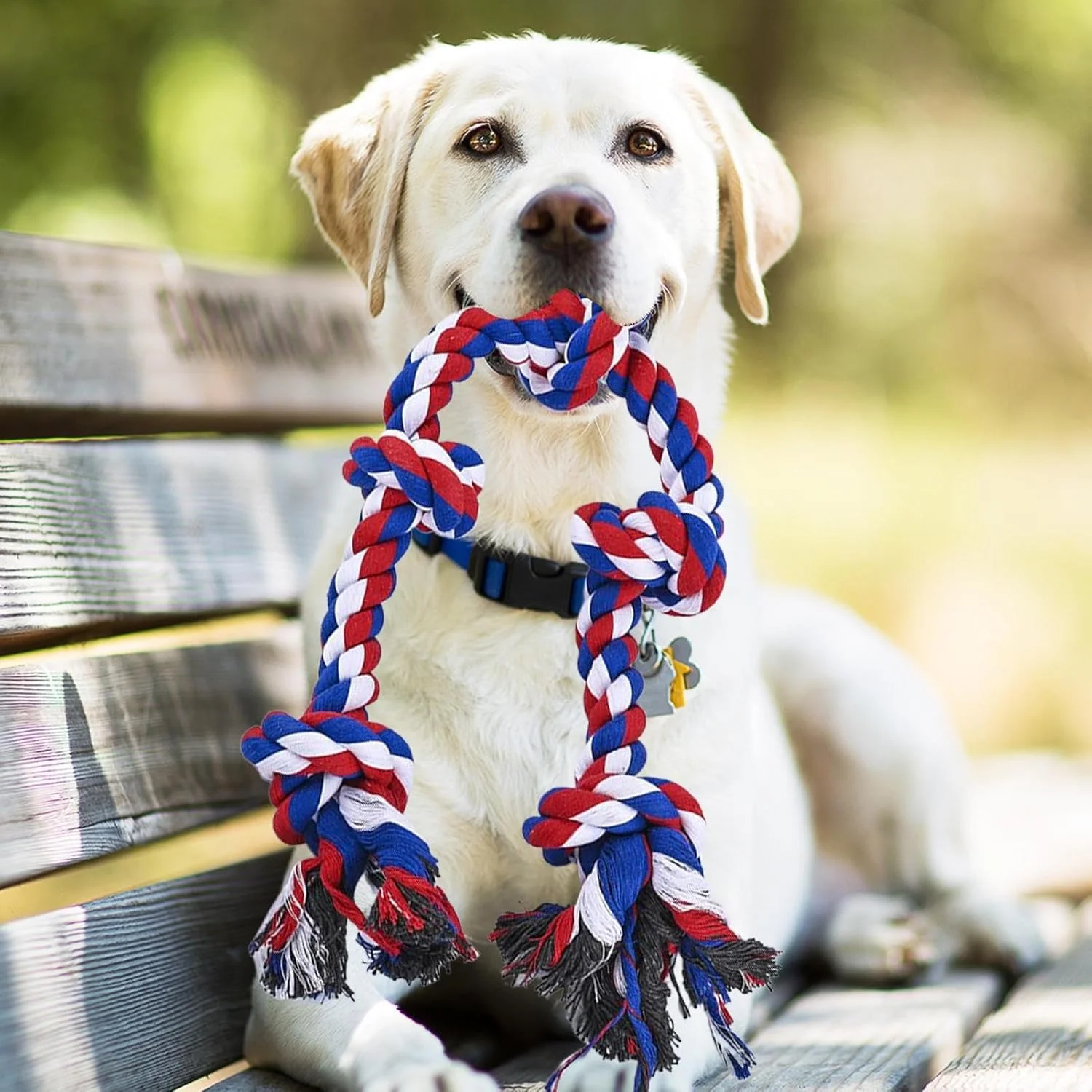 اسباب بازی طنابی برای سگ ها | طناب بازی کششی برای توله سگ، طناب دندان گیر سگ برای نژادهای بزرگ و جویدنی های تهاجمی، بازی، آموزش، رفع خستگی در فضای باز