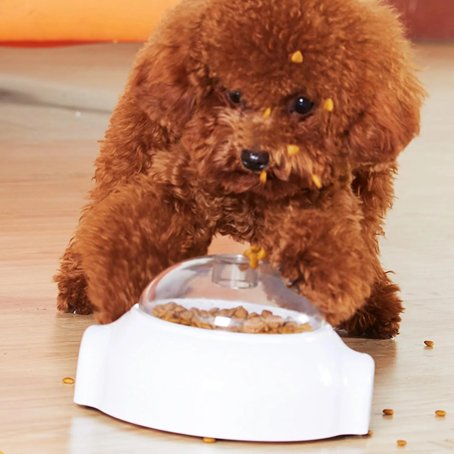 اسباب بازی پخش کننده تشویقی سگ، اسباب بازی غلتکی پخش کننده تشویقی سگ | کاسه های غذاخوری حیوانات کوچک برای آموزش آهسته، کاهش نفخ، تحریک ذهنی، مناسب برای توله سگ و گربه های داخل خانه اسباب بازی پخش کننده تشویقی سگ، اسباب بازی غلتکی پخش کننده تشویقی سگ | کاسه های غذاخوری حیوانات کوچک برای آموزش آهسته، کاهش نفخ، تحریک ذهنی، مناسب برای توله سگ و گربه های داخل خانه