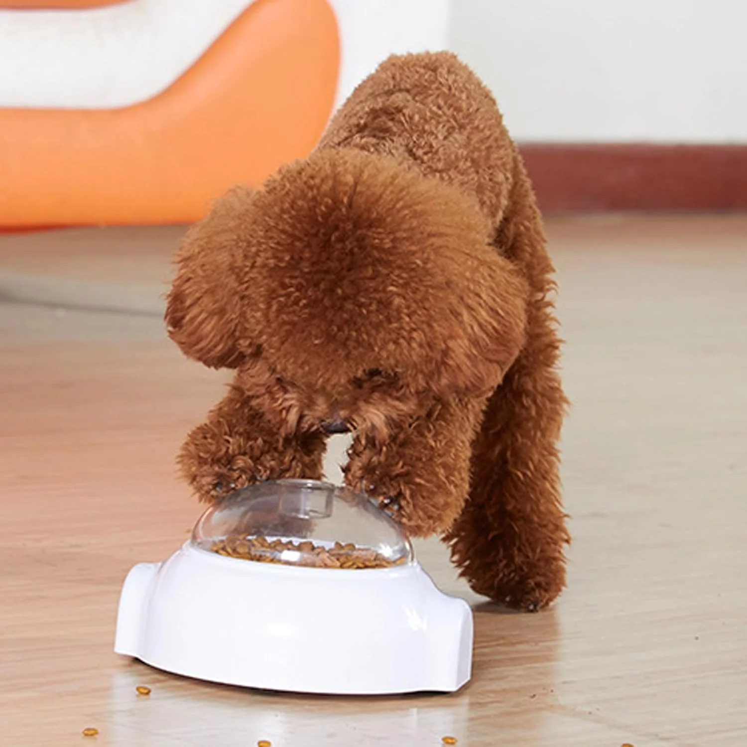 اسباب بازی پخش کننده تشویقی سگ، اسباب بازی پخش کننده تشویقی چرخشی حیوانات خانگی - پازل غذای آهسته برای حیوانات کوچک گربه توله سگ تحریک ذهنی غنی سازی آموزش داخلی اسباب بازی پخش کننده تشویقی سگ، اسباب بازی پخش کننده تشویقی چرخشی حیوانات خانگی - پازل غذای آهسته برای حیوانات کوچک گربه توله سگ تحریک ذهنی غنی سازی آموزش داخلی