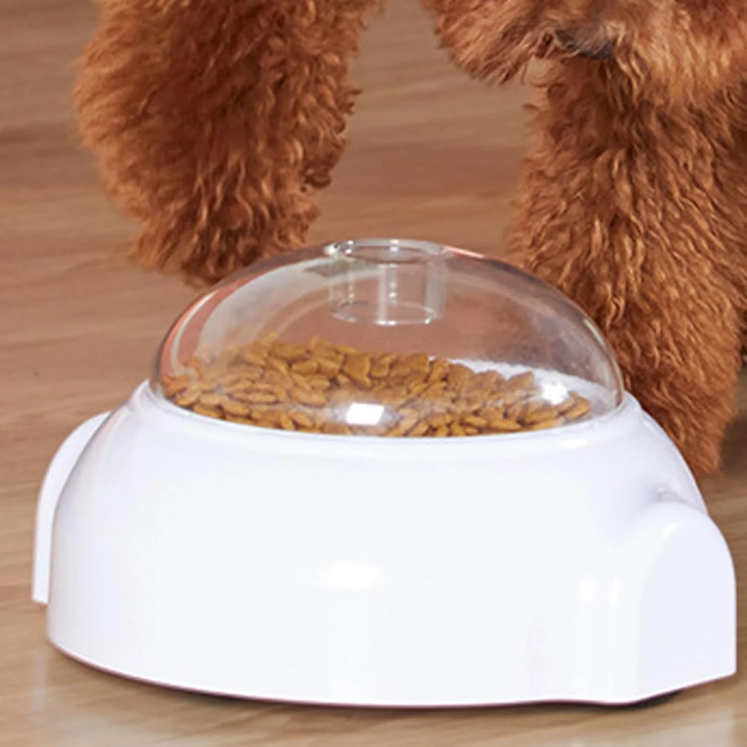 پخش کننده تشویقی، پخش کننده تشویقی چرخشی | کاسه حیوانات کوچک، غذاده آهسته، کاهش نفخ، تحریک ذهنی، غنی سازی آموزش در محیط داخلی