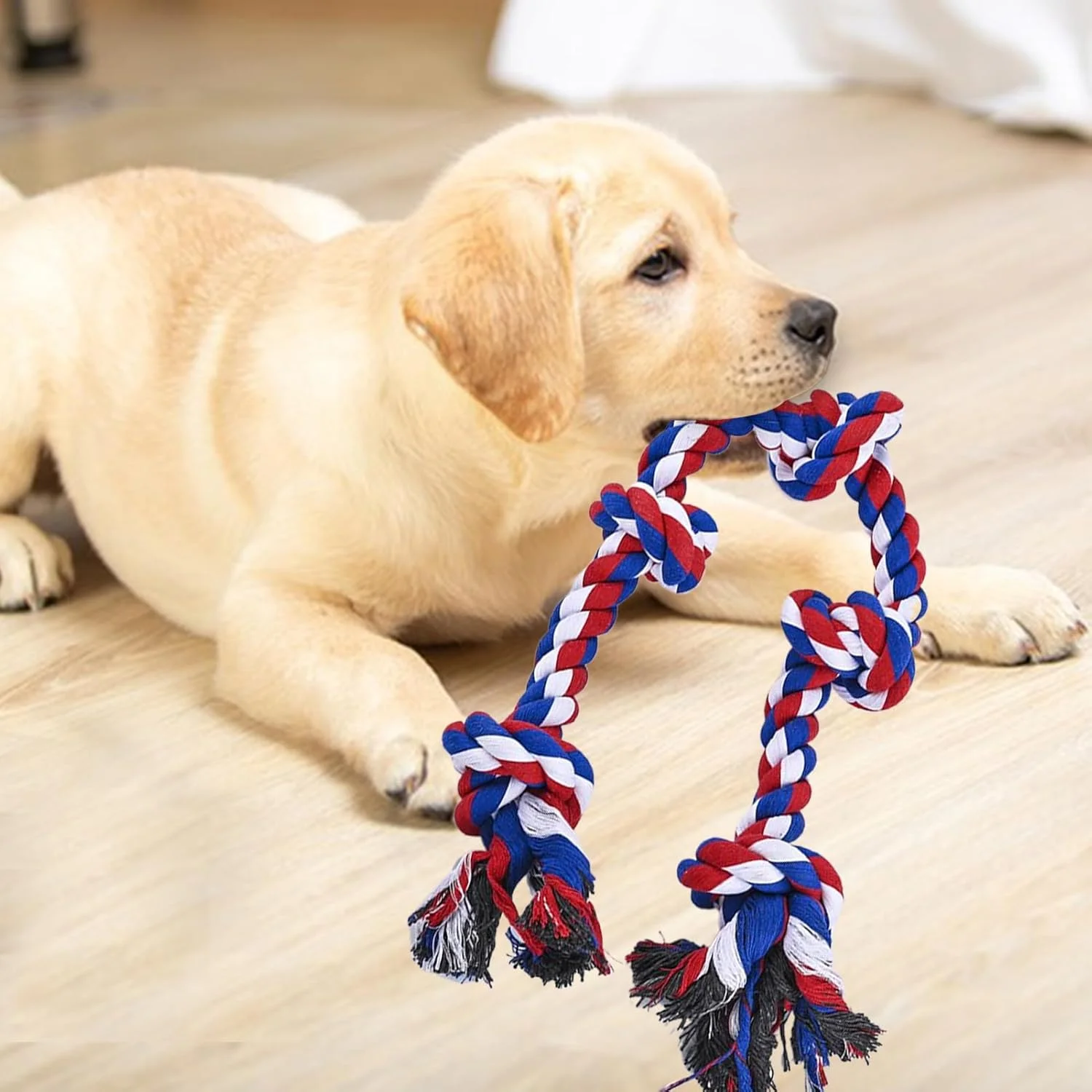 طناب اسباب بازی سگ | اسباب بازی طناب کشی برای توله سگ - طناب جویدنی برای نژادهای بزرگ و متوسط، مناسب برای آموزش بازی در فضای باز و داخل خانه طناب اسباب بازی سگ | اسباب بازی طناب کشی برای توله سگ - طناب جویدنی برای نژادهای بزرگ و متوسط، مناسب برای آموزش بازی در فضای باز و داخل خانه