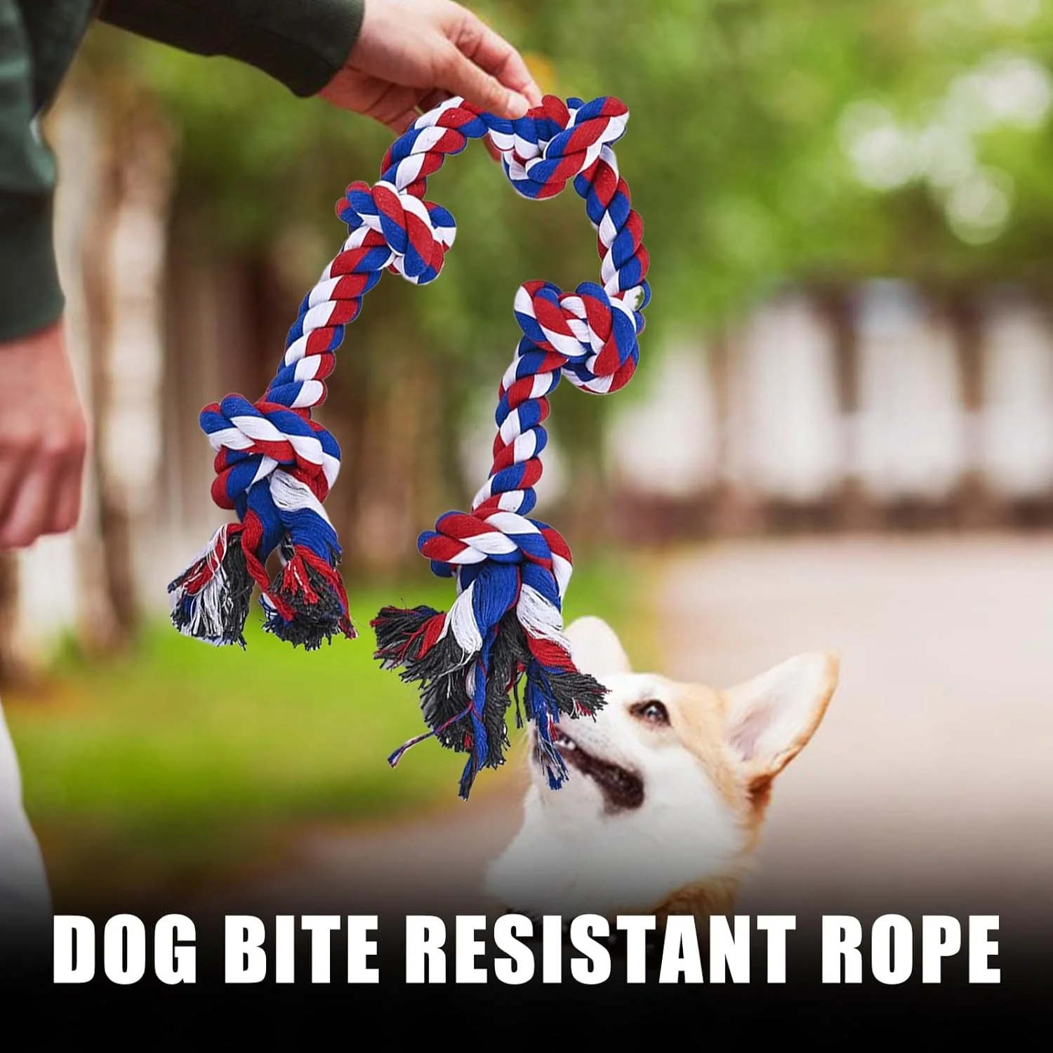 طناب اسباب بازی سگ - اسباب بازی های جویدنی برای تمرین توله سگ | طناب تمرینی جویدنی برای رفع خستگی سگ های بزرگ و متوسط با عادت جویدن تهاجمی، مناسب بازی در فضای باز طناب اسباب بازی سگ - اسباب بازی های جویدنی برای تمرین توله سگ | طناب تمرینی جویدنی برای رفع خستگی سگ های بزرگ و متوسط با عادت جویدن تهاجمی، مناسب بازی در فضای باز