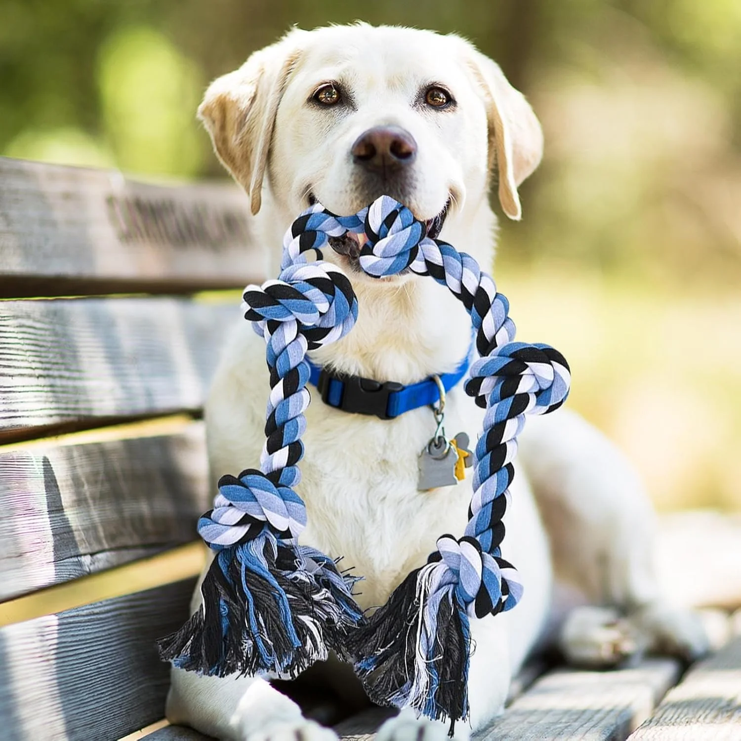 طناب اسباب بازی سگ، اسباب بازی تمیز کننده دندان توله سگ | طناب جویدنی برای نژادهای بزرگ و متوسط، آموزش جویدن تهاجمی، بازی در فضای باز و داخل خانه طناب اسباب بازی سگ، اسباب بازی تمیز کننده دندان توله سگ | طناب جویدنی برای نژادهای بزرگ و متوسط، آموزش جویدن تهاجمی، بازی در فضای باز و داخل خانه