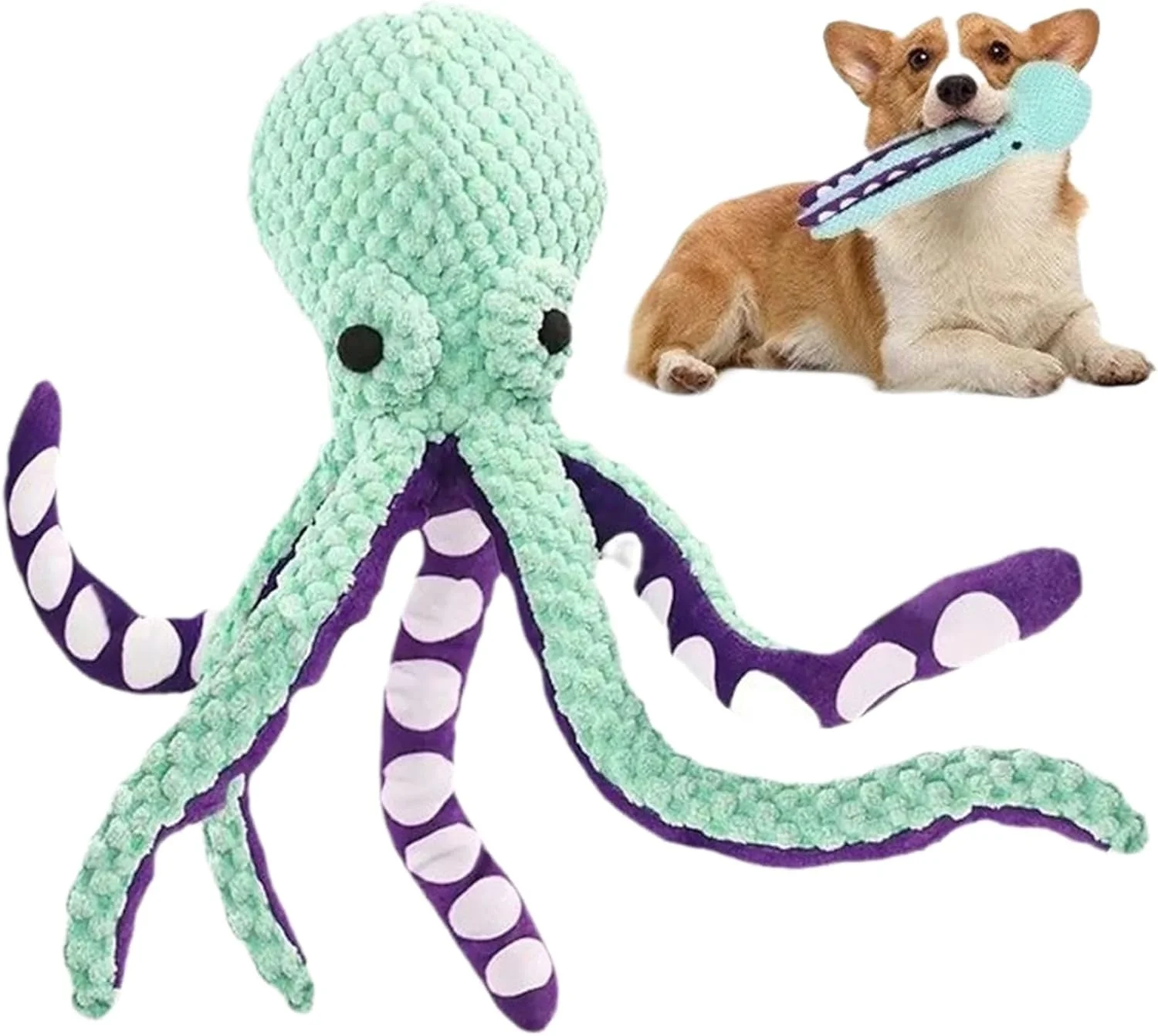 اسباب بازی پولیشی سگ برای جویدن تهاجمی - اسباب بازی سگ پولیشی | بازی دندانی با صدای جیر جیر برای جویدن تهاجمی در فضای داخلی، حیاط خلوت، استخر، ساحل و مسافرت اسباب بازی پولیشی سگ برای جویدن تهاجمی - اسباب بازی سگ پولیشی | بازی دندانی با صدای جیر جیر برای جویدن تهاجمی در فضای داخلی، حیاط خلوت، استخر، ساحل و مسافرت