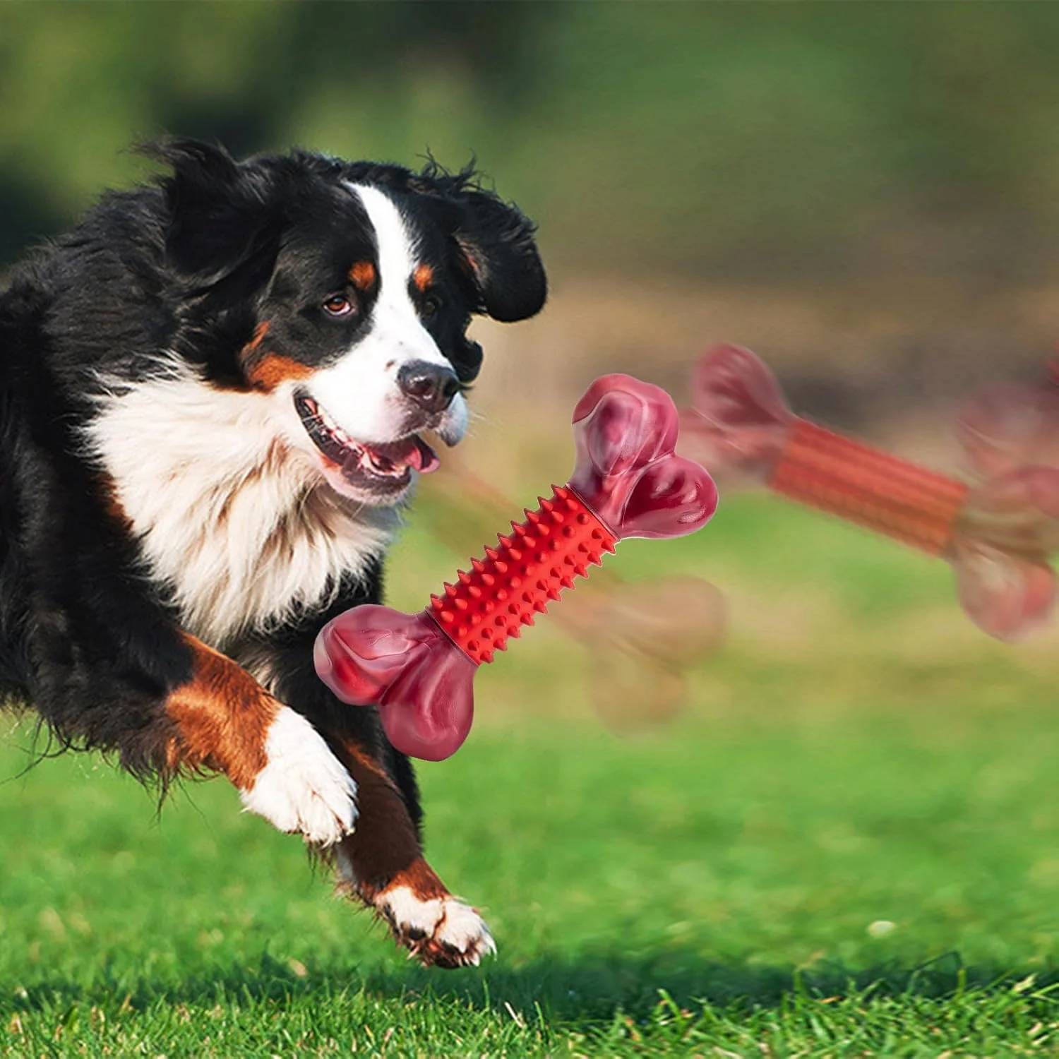 اسباب بازی استخوان جویدنی سگ - اسباب بازی استخوان برای جویدن تهاجمی - لوازم جویدن سخت توله سگ برای اتاق نشیمن داخلی و خارجی، آپارتمان، اتاق خواب، حیاط، پارک ها، خوابگاه اسباب بازی استخوان جویدنی سگ - اسباب بازی استخوان برای جویدن تهاجمی - لوازم جویدن سخت توله سگ برای اتاق نشیمن داخلی و خارجی، آپارتمان، اتاق خواب، حیاط، پارک ها، خوابگاه