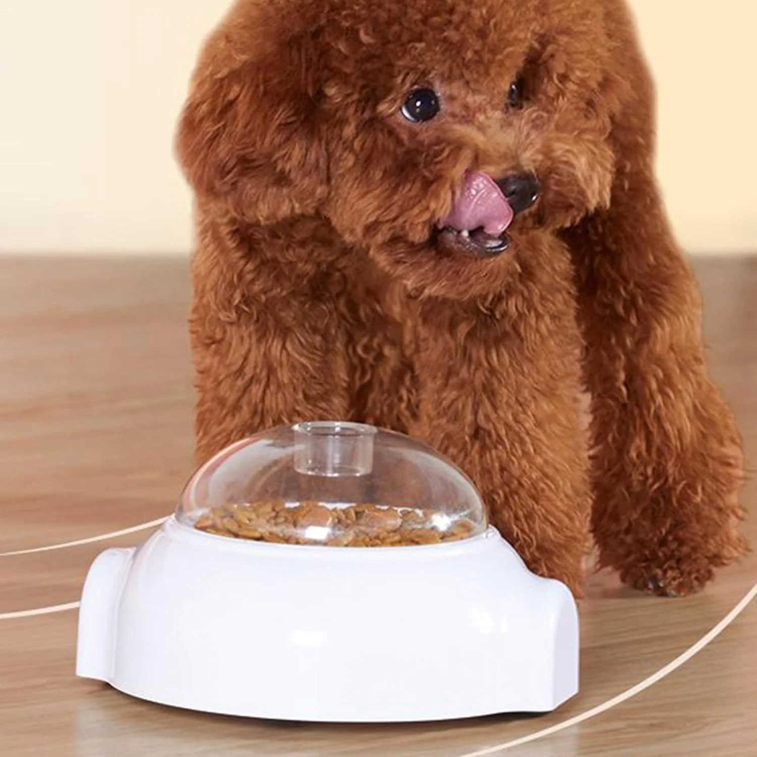 اسباب بازی پخش کننده تشویقی حیوانات خانگی | پازل کاسه غذای آموزشی برای غنی سازی، کاهش نفخ و تحریک ذهنی