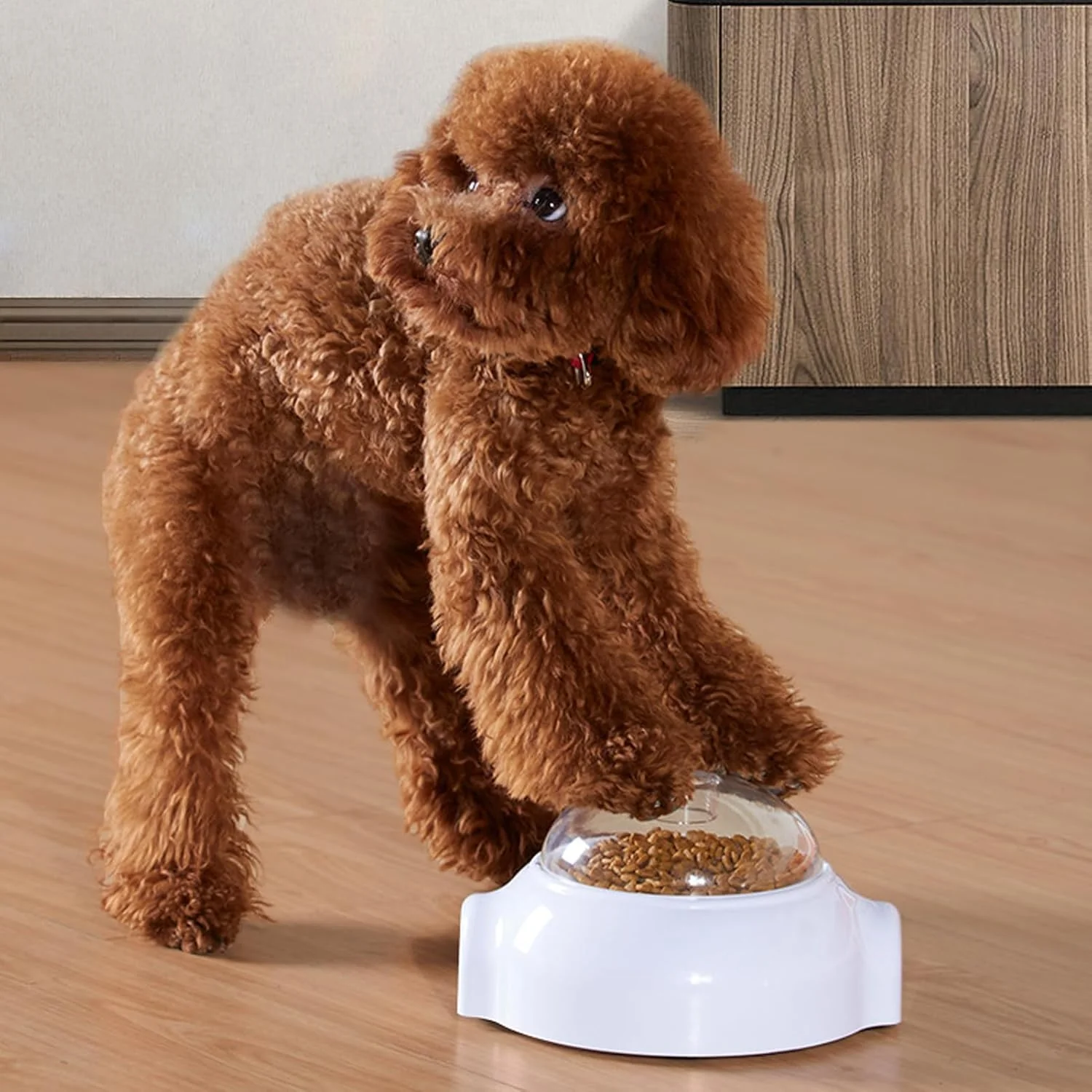 اسباب بازی پخش کننده تشویقی سگ، اسباب بازی تعاملی پخش کننده تشویقی چرخشی، کاسه حیوانات کوچک، غذاده آهسته، کاهش نفخ، تحریک ذهنی، غنی سازی آموزش در محیط داخلی