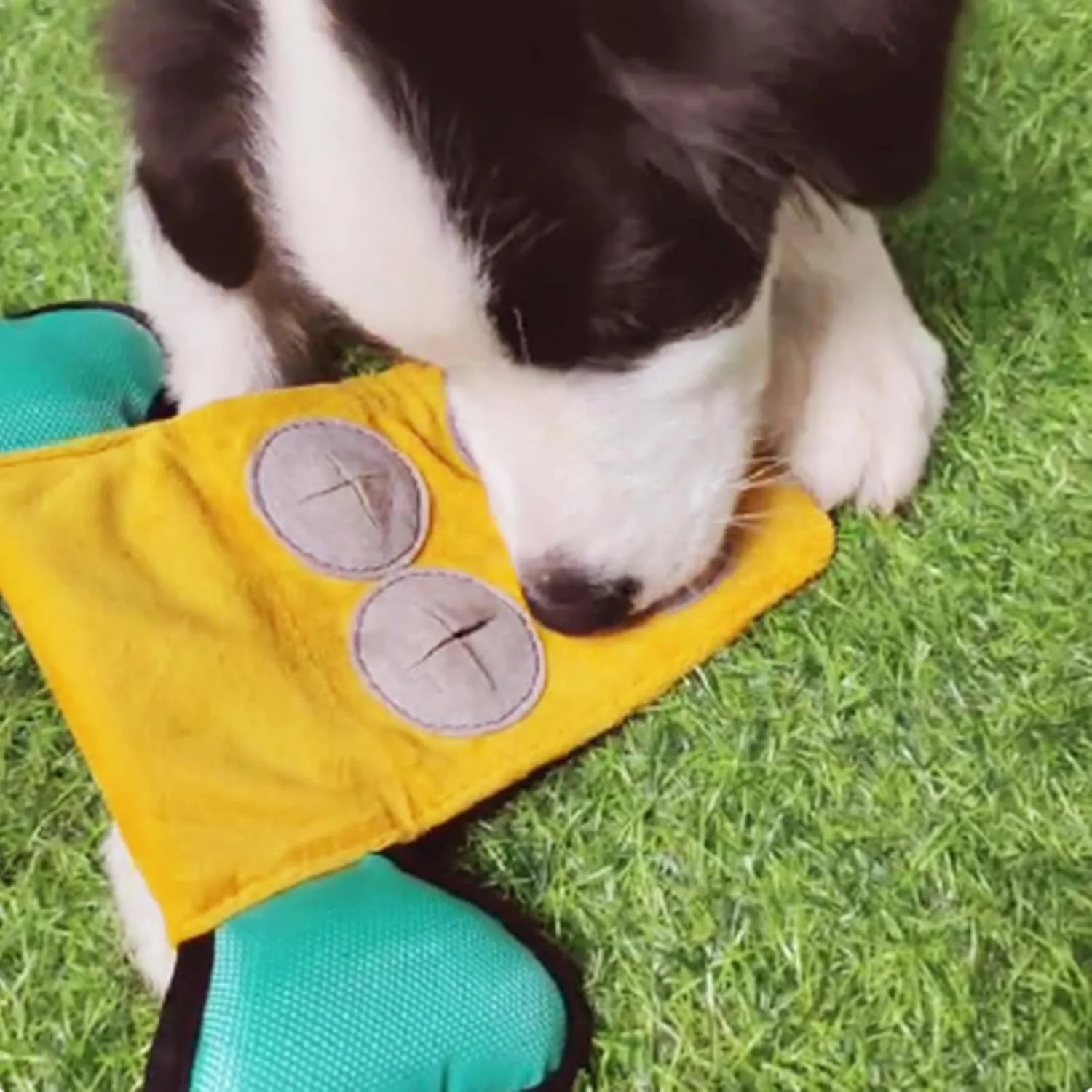 اسباب بازی پخش کننده غذای سگ، اسباب بازی های پخش کننده خوراکی پازلی سگ | بازی های پازلی تغذیه صدا برای رفع بی حوصلگی آموزش غنی سازی سالم توله سگ بزرگ برای مشغول نگه داشتن آنها