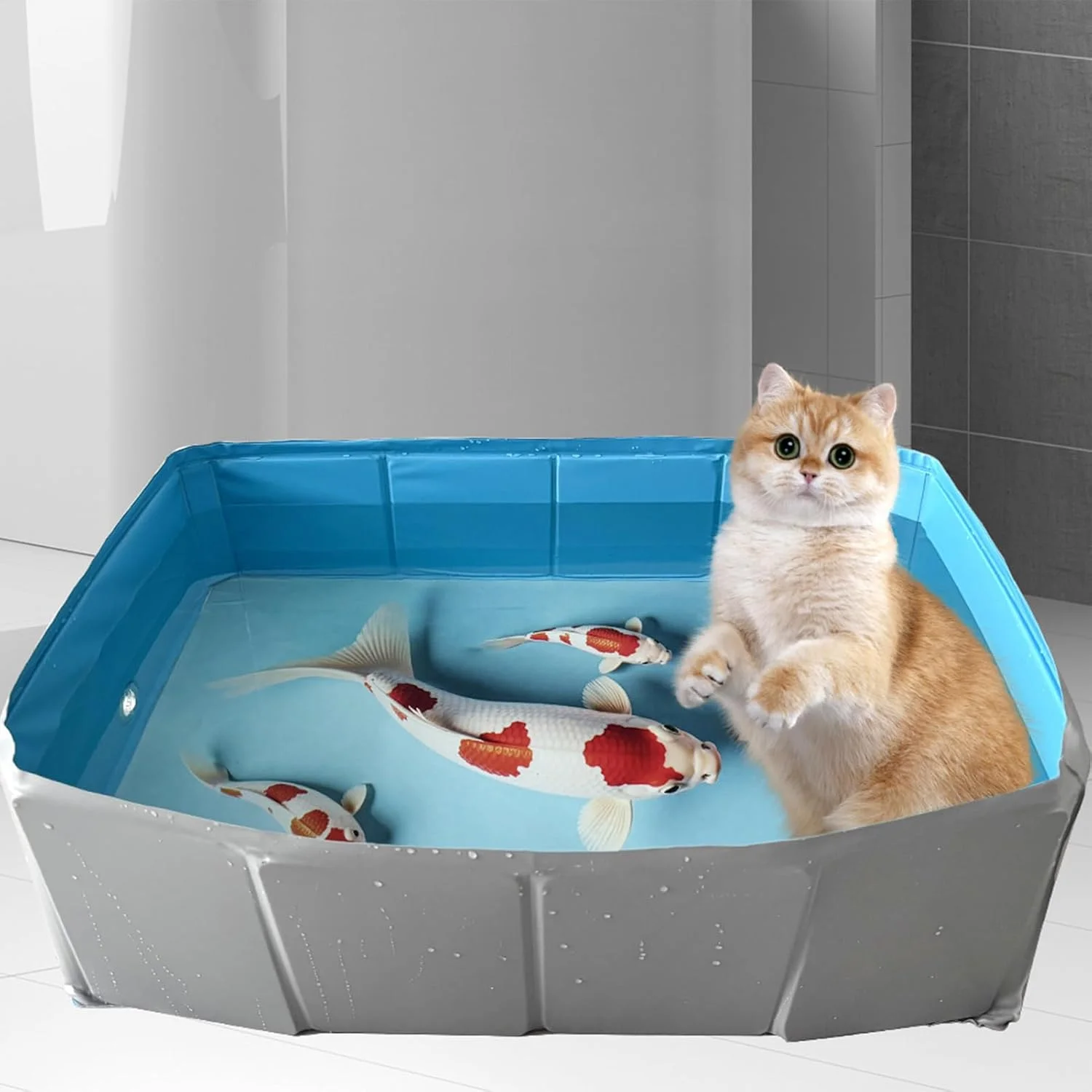 استخر بادی سگ - استخر پارویی سگ PVC تاشو مربعی شکل - وان چند منظوره شنای توله سگ برای چمن خانگی باغ حیاط فضای باز کمپینگ استخر بادی سگ - استخر پارویی سگ PVC تاشو مربعی شکل - وان چند منظوره شنای توله سگ برای چمن خانگی باغ حیاط فضای باز کمپینگ