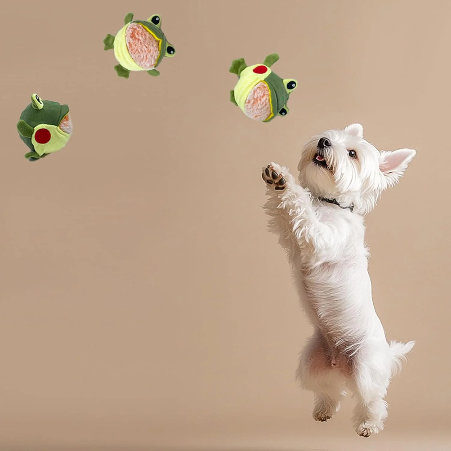 اسباب بازی سوت دار سگ، اسباب بازی جویدنی تعاملی قورباغه و کوسه، لوازم جانبی دندان درآوردن سوت دار تعاملی و جداشدنی و مقاوم برای نژادهای کوچک، متوسط و بزرگ، مناسب برای سگ های بی حوصله و جویدنی های پرخاشگر اسباب بازی سوت دار سگ، اسباب بازی جویدنی تعاملی قورباغه و کوسه، لوازم جانبی دندان درآوردن سوت دار تعاملی و جداشدنی و مقاوم برای نژادهای کوچک، متوسط و بزرگ، مناسب برای سگ های بی حوصله و جویدنی های پرخاشگر