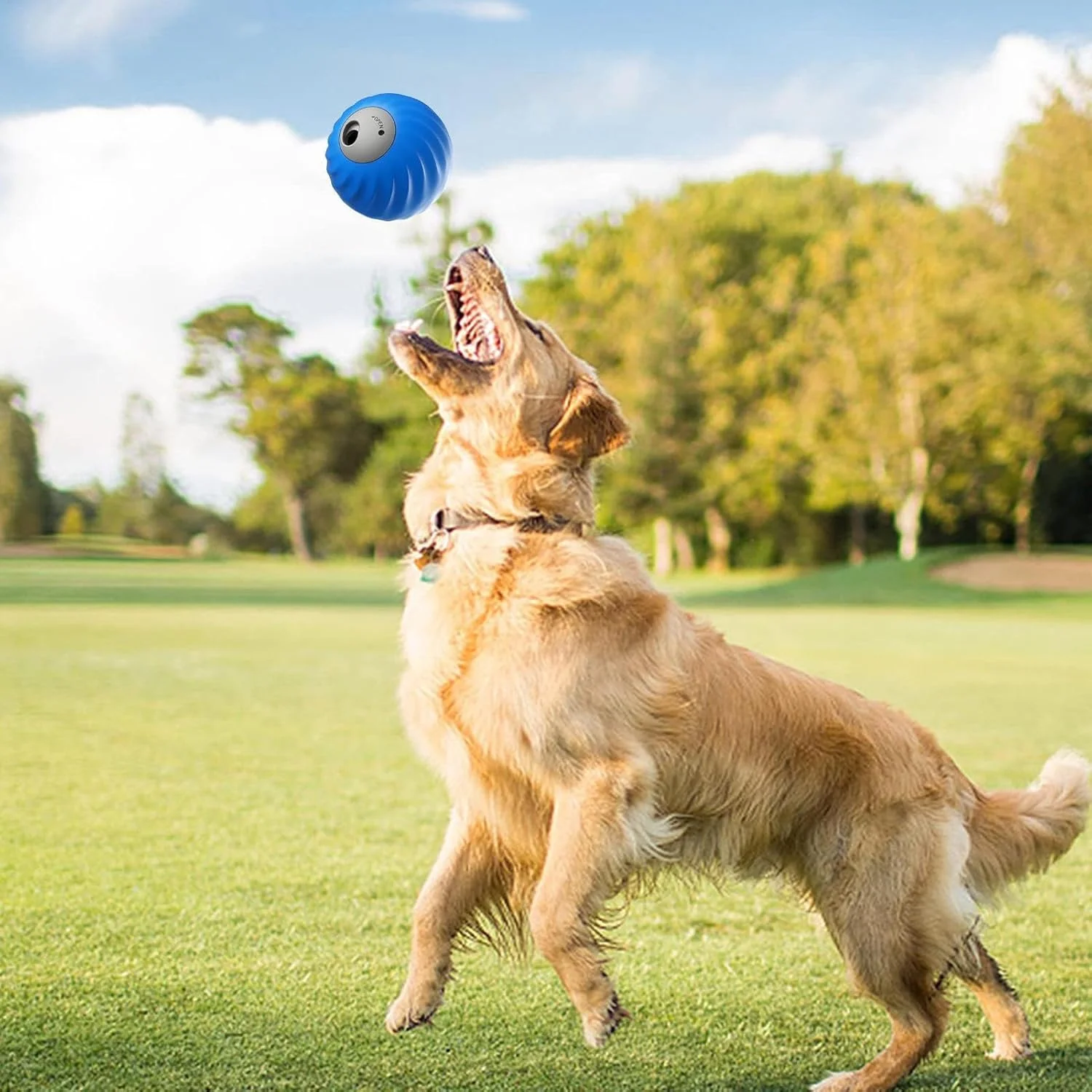 اسباب بازی پخش کننده تشویقی سگ | اسباب بازی پخش کننده تشویقی برای سگ های پرخاشگر | توپ تغذیه حیوانات خانگی برای اتاق نشیمن داخلی و خارجی، نژادهای کوچک، متوسط و بزرگ اسباب بازی پخش کننده تشویقی سگ | اسباب بازی پخش کننده تشویقی برای سگ های پرخاشگر | توپ تغذیه حیوانات خانگی برای اتاق نشیمن داخلی و خارجی، نژادهای کوچک، متوسط و بزرگ