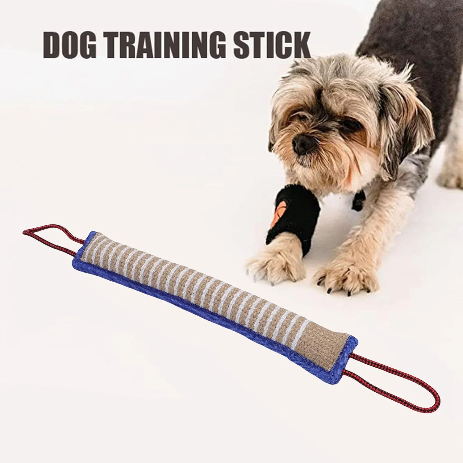 اسباب بازی طنابی جوت مقاوم Tnfeeon، اسباب بازی دندانی 50 سانتی متری با 2 دسته، مناسب برای سگ های کوچک، متوسط تا بزرگ، تحریک کننده غرایز، ارتقاء بهداشت دندان، آموزش پیشرفته اسباب بازی طنابی جوت مقاوم Tnfeeon، اسباب بازی دندانی 50 سانتی متری با 2 دسته، مناسب برای سگ های کوچک، متوسط تا بزرگ، تحریک کننده غرایز، ارتقاء بهداشت دندان، آموزش پیشرفته