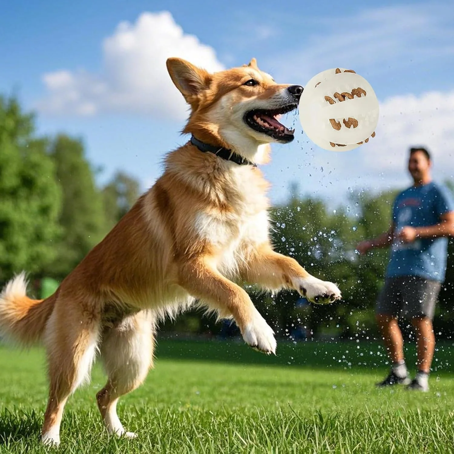 توپ سگ برای جویدن تهاجمی - توپ درخشان برای بازی پرتابی سگ، لوازم حیوانات خانگی برای سرگرمی، بازی پرتابی، سرگرمی انفرادی، پیاده روی در فضای باز