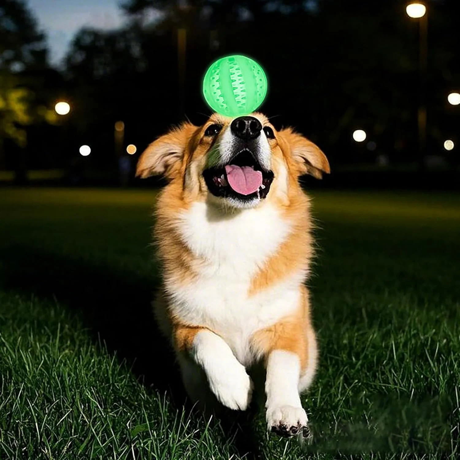 توپ های اسباب بازی برای سگ ها - توپ سگ درخشان در تاریکی - لوازم حیوانات خانگی برای جویدن تهاجمی توله سگ، بازی و سرگرمی، پیاده روی در فضای باز