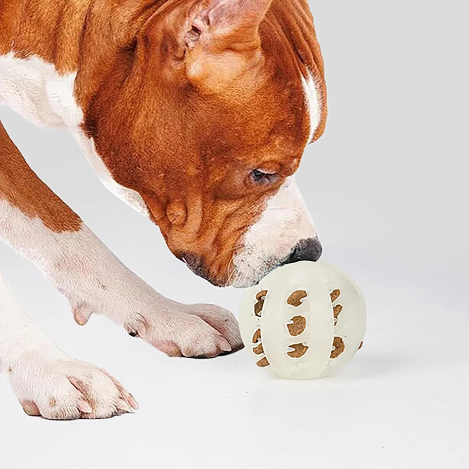 توپ بازی سگ - توپ درخشان برای سگ | لوازم حیوانات خانگی برای توله سگ های پرخاشگر، سرگرمی، آموزش، غنی سازی و بازی در فضای باز