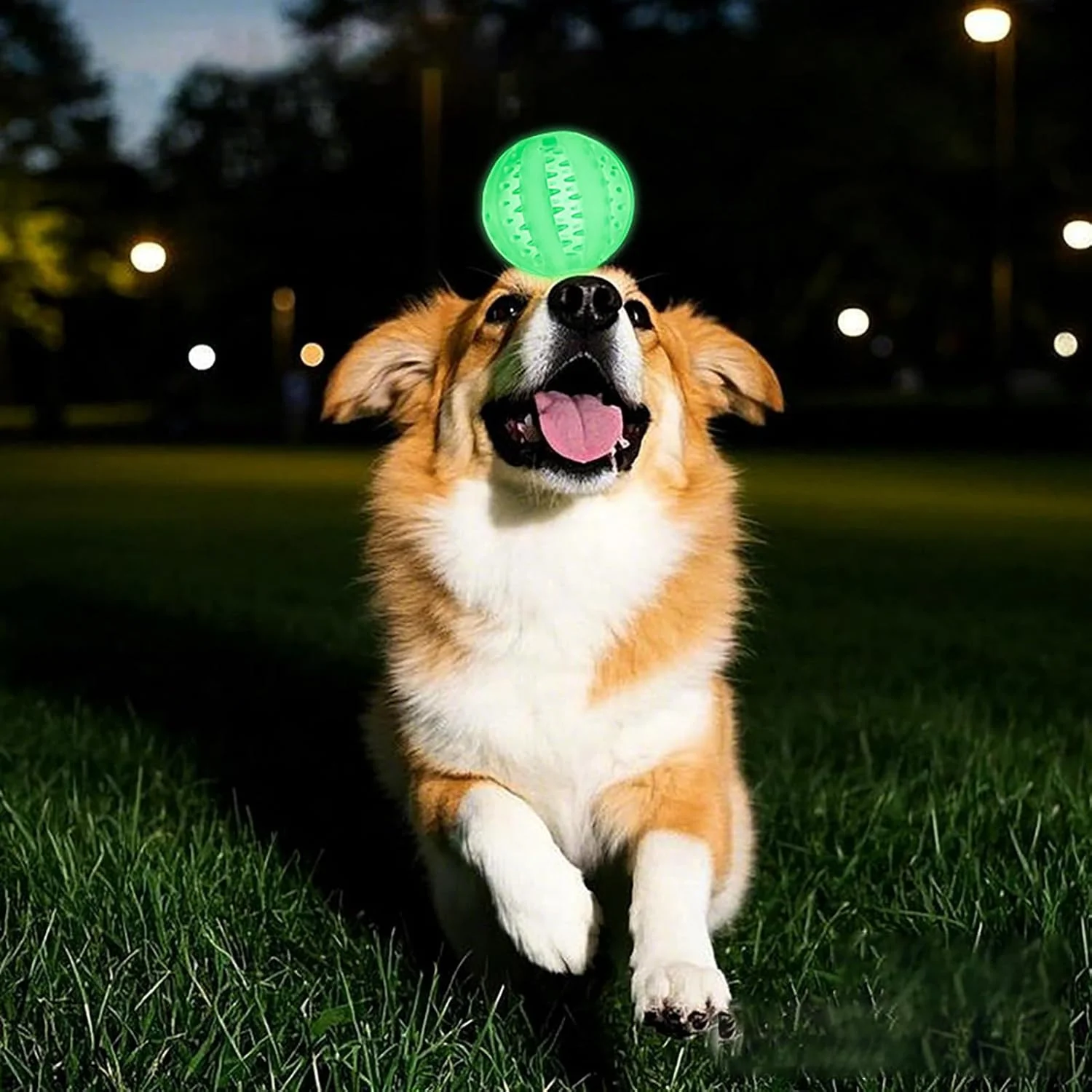 توپ سگ، توپ درخشان برای سگ ها | لوازم حیوانات خانگی برای جویدن تهاجمی توله سگ، بازی، سرگرمی، پیاده روی در فضای باز