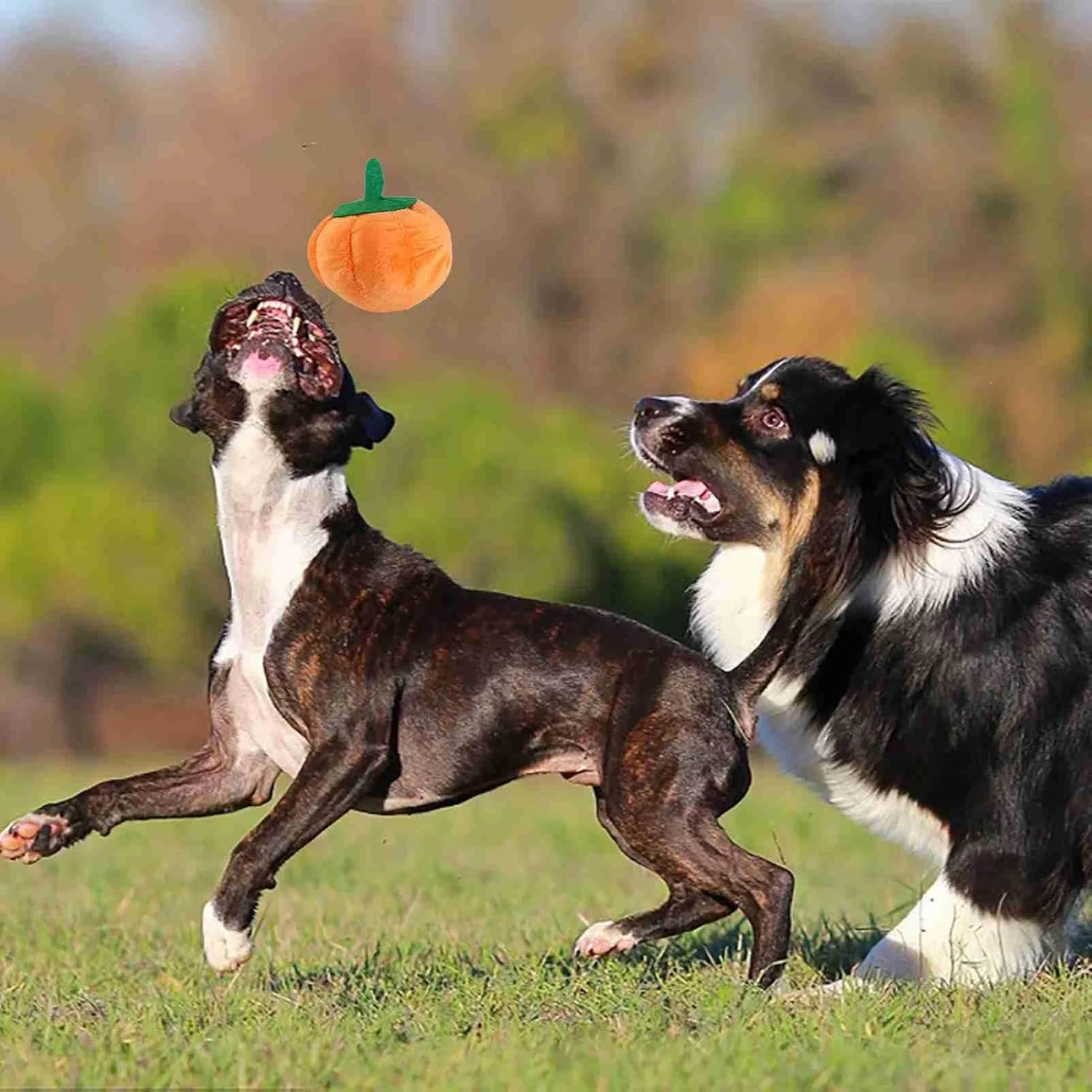 اسباب بازی سگ Tnfeeon، اسباب بازی پر شده مخملی، محافظت از سلامت برای سگ های کوچک و بزرگ، جنس عالی