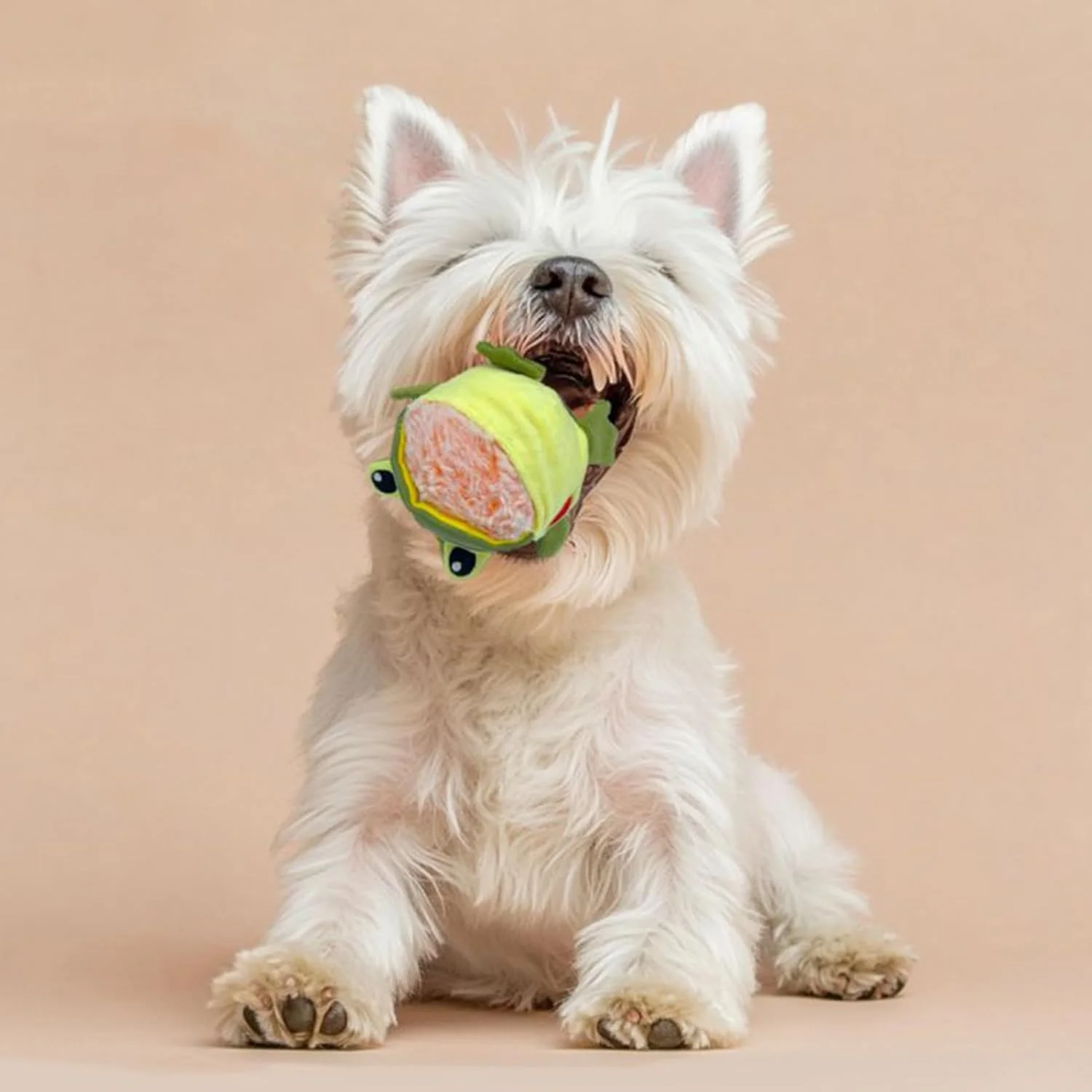 اسباب بازی های سوت دار سگ، اسباب بازی های جویدنی توله سگ طرح کوسه قورباغه - لوازم تعاملی جداشدنی و مقاوم برای دندان درآوردن نژادهای کوچک، متوسط و بزرگ، رفع خستگی توله سگ