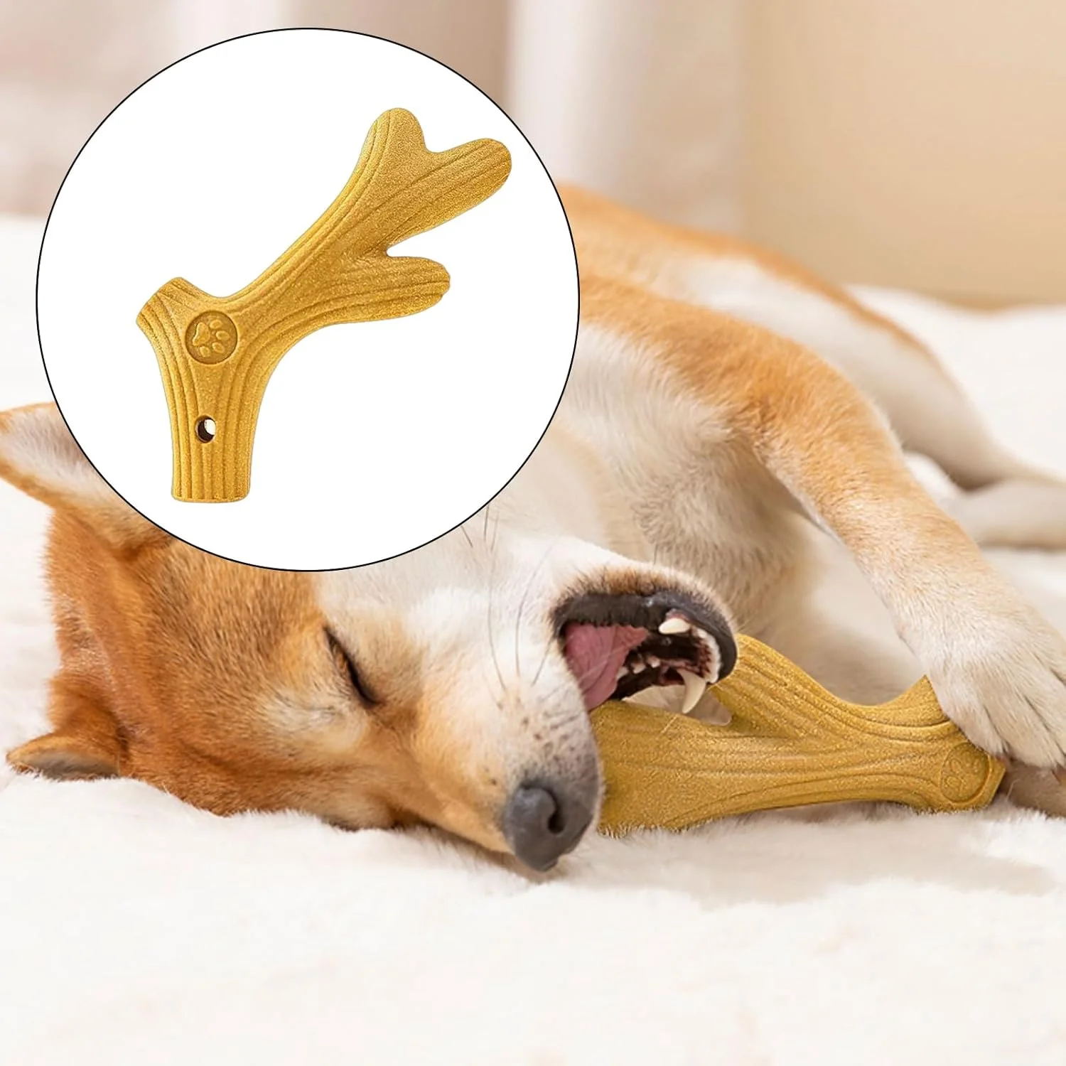 اسباب بازی جویدنی سگ با شکل استخوان/شاخ گوزن واقعی، چوب جویدنی چوب کاج، ایمن و نشکن برای سگ های جویدنی تهاجمی