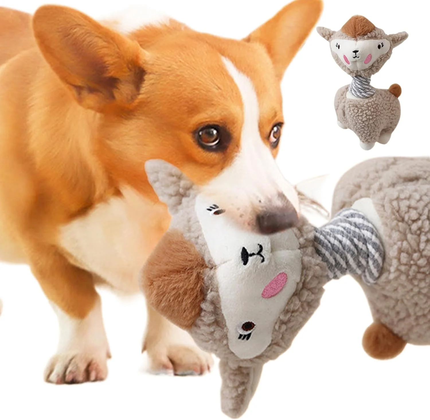 اسباب بازی های جیر جیر کننده برای سگ ها | اسباب بازی جویدنی سگ های پولیشی آلپاکا | بازی غنی سازی برای آموزش، پارک، حیاط خلوت، کمپینگ، اوقات تنهایی و فضای باز