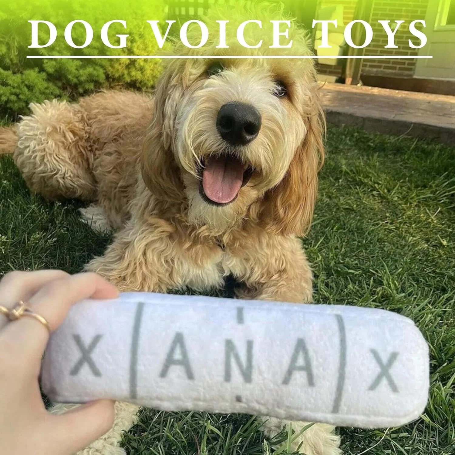 اسباب بازی سگ - اسباب بازی جویدنی سگ پولیشی - بازی غنی سازی برای آموزش، پارک، حیاط خلوت، کمپینگ و اوقات تنهایی در فضای باز اسباب بازی سگ - اسباب بازی جویدنی سگ پولیشی - بازی غنی سازی برای آموزش، پارک، حیاط خلوت، کمپینگ و اوقات تنهایی در فضای باز