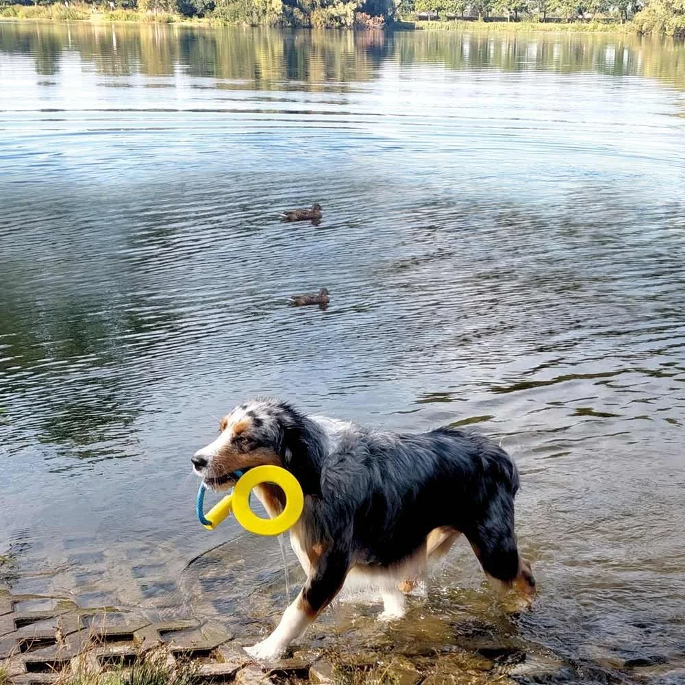 حلقه تی پی آر نوبی با طناب و دسته 12.5 (31.5) سانتی متر