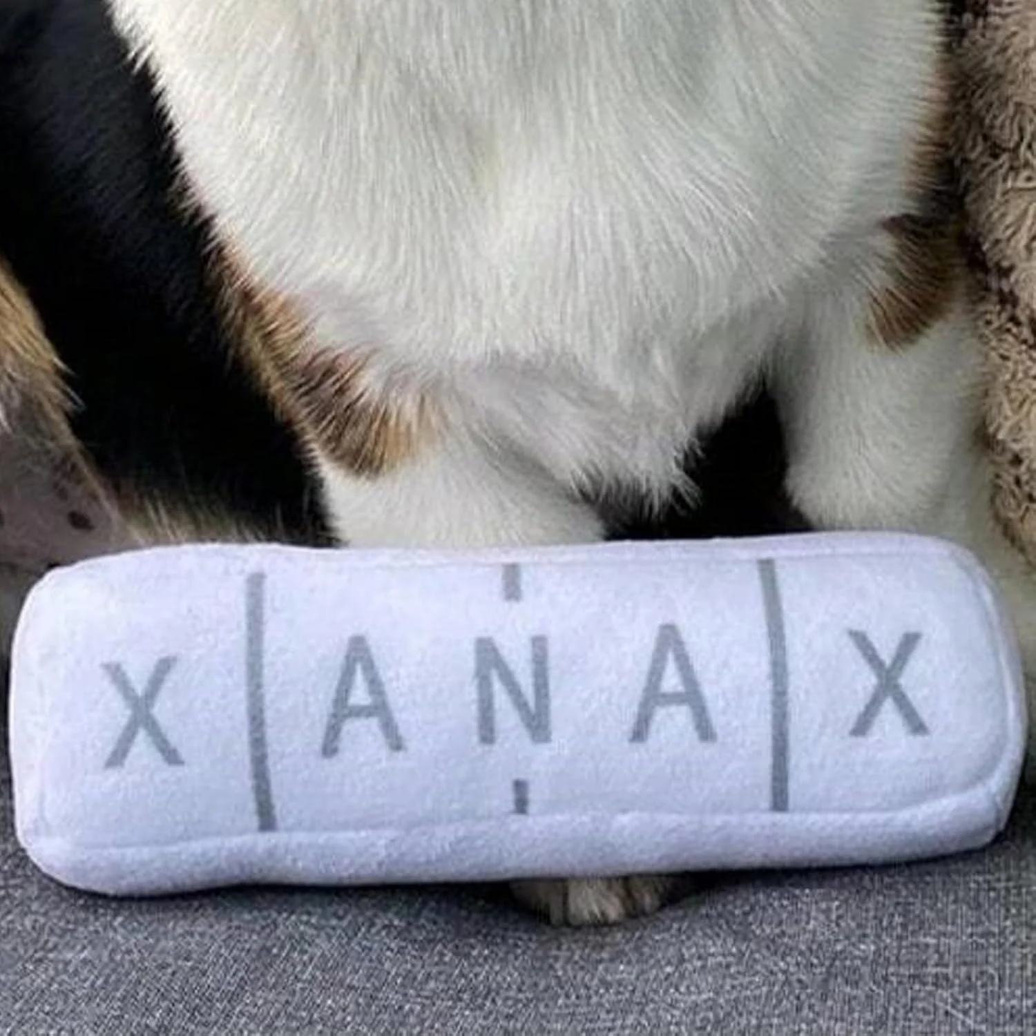 اسباب بازی های جیر جیر کننده توله سگ - اسباب بازی های جویدنی پولیشی | بازی غنی سازی برای آموزش آوردن، پارک، حیاط خلوت، کمپینگ، اوقات تنهایی، فضای باز