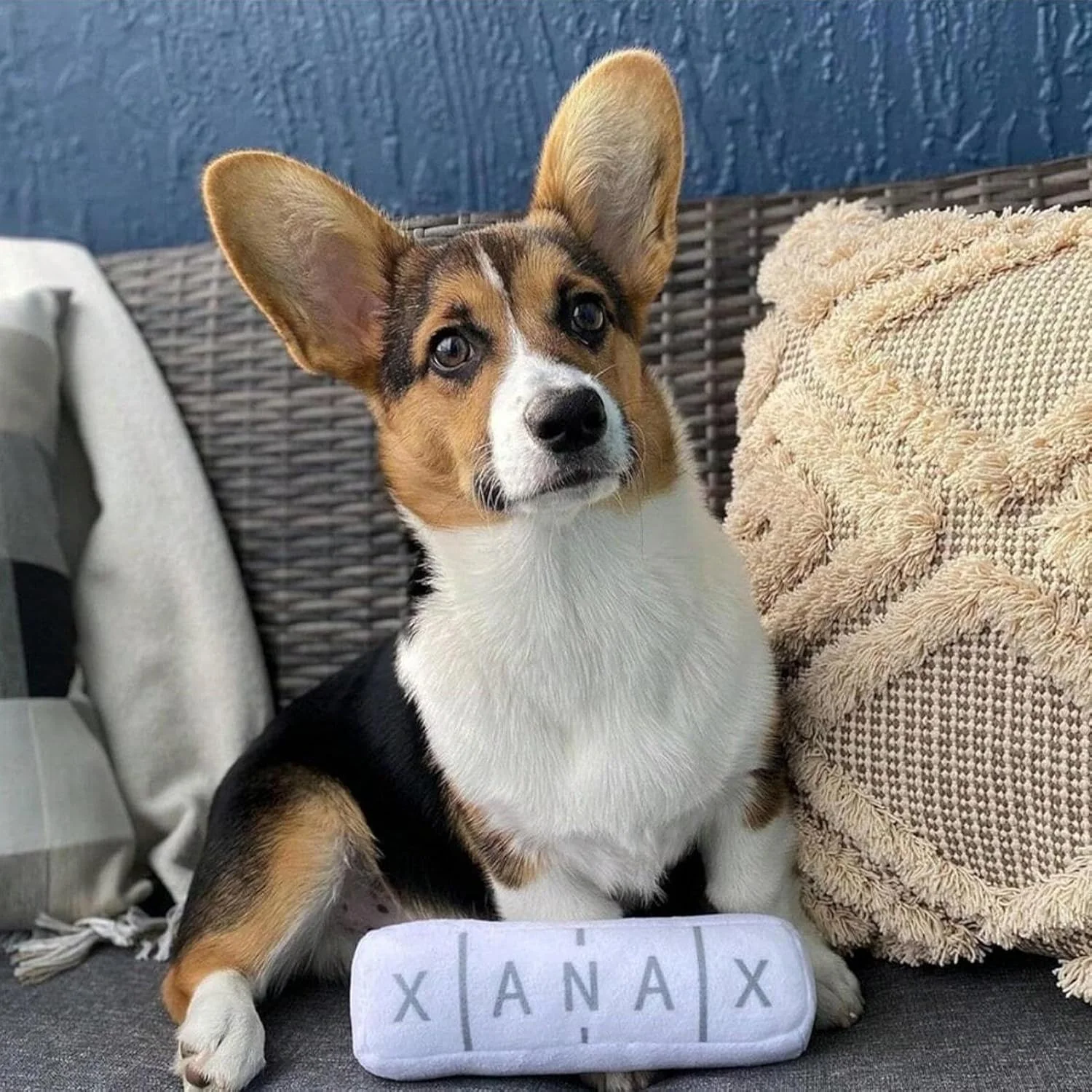 اسباب بازی سگ با صدای جیر جیر | اسباب بازی های جویدنی پولیشی، بازی غنی سازی برای آموزش پرتاب کردن، پارک، حیاط خلوت، کمپینگ، زمان تنهایی، فضای باز