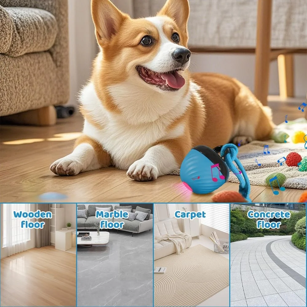 توپ اسباب بازی تعاملی سگ HOVCEH، توپ تعاملی سگ، اسباب بازی سگ متحرک با 3 حالت، اسباب بازی سگ Chase Buddy، اسباب بازی های تعاملی خودکار توله سگ برای رفع بی حوصلگی، دندان درآوردن، تعامل (آبی)