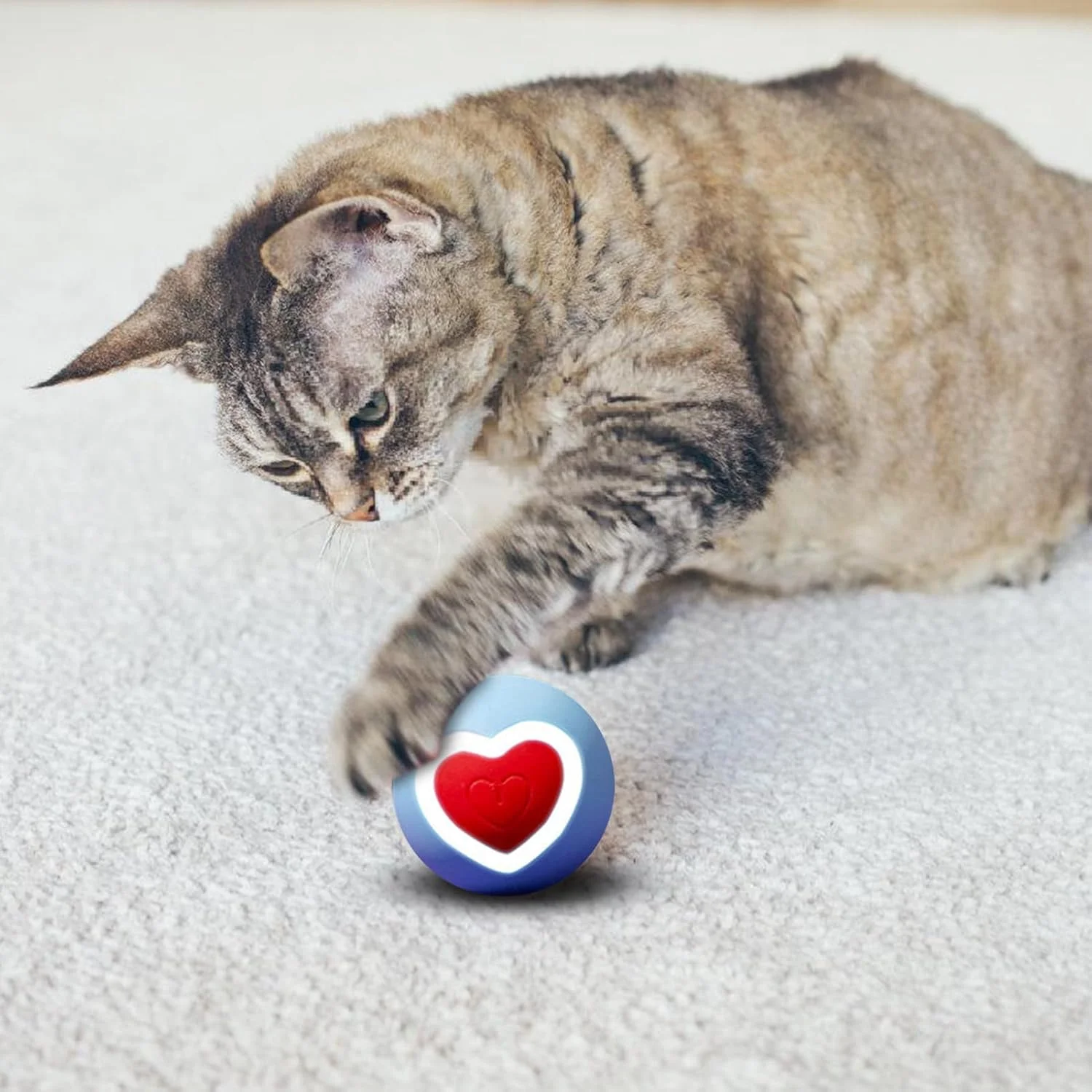 توپ متحرک سگ - اسباب بازی غلتان تعاملی گربه، توپ غلتان هوشمند مقاوم در برابر جویدن برای تمرین تعقیب، غنی سازی، کاهش استرس، بازی در فضای باز و داخل خانه