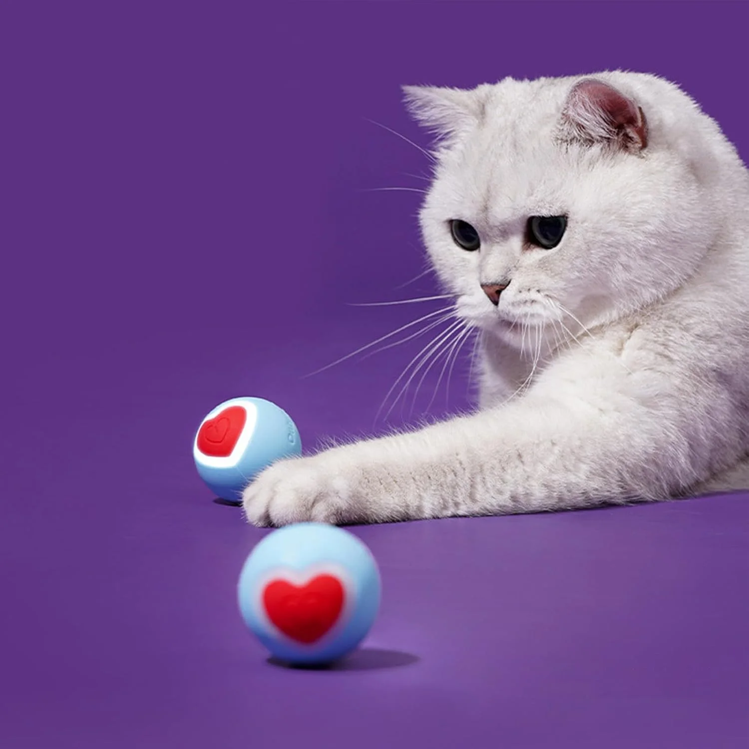 توپ جهشی سگ | اسباب بازی غلتان برای رفع بی حوصلگی حیوانات خانگی | توپ غلتان هوشمند مقاوم در برابر گاز گرفتن برای تمرین، تعقیب، تحریک شکار، دندان درآوردن و کاهش استرس سگ ها و گربه ها