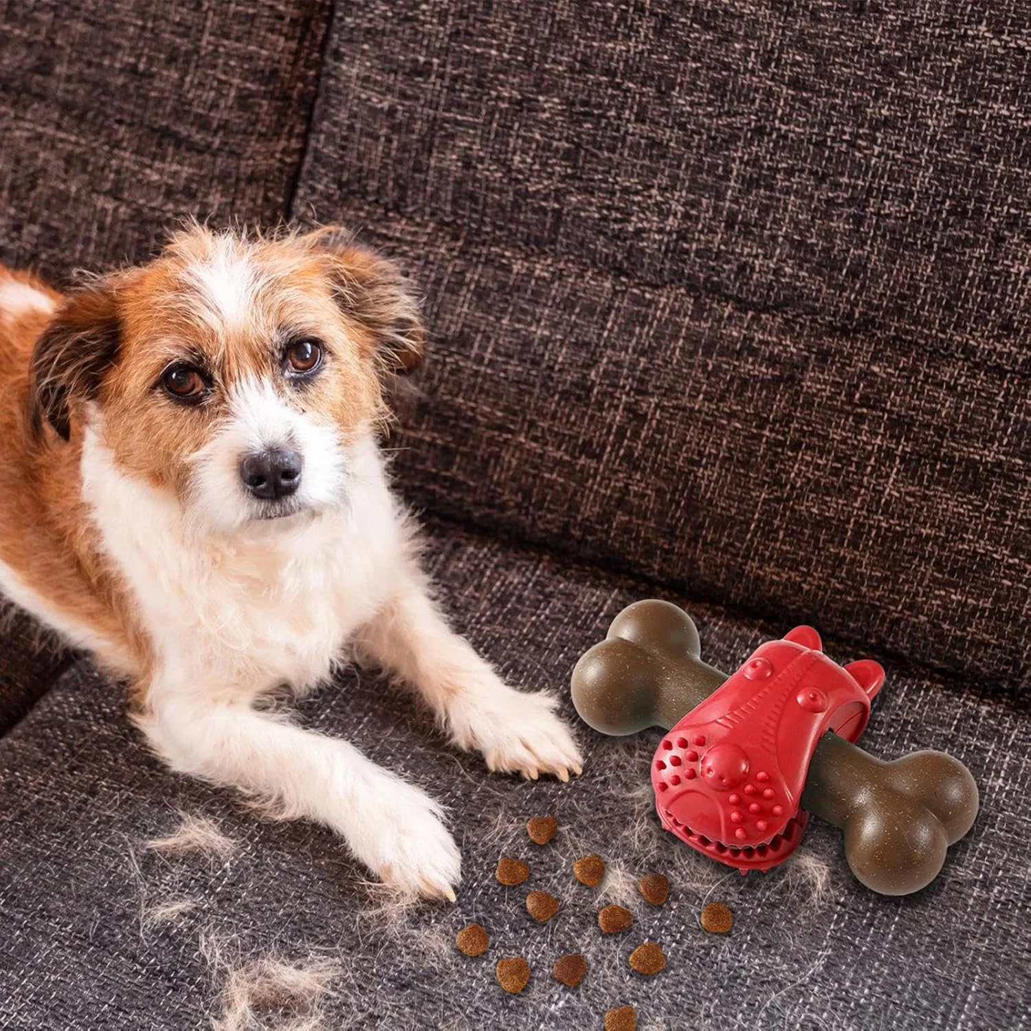 اسباب بازی سگ برای جویدن تهاجمی - استخوان شکل، غذاده آهسته توله سگ | اسباب بازی آموزشی جویدن سگ برای آموزش تغذیه، تحریک ذهنی، رفع خستگی، بازی در فضای داخلی اسباب بازی سگ برای جویدن تهاجمی - استخوان شکل، غذاده آهسته توله سگ | اسباب بازی آموزشی جویدن سگ برای آموزش تغذیه، تحریک ذهنی، رفع خستگی، بازی در فضای داخلی