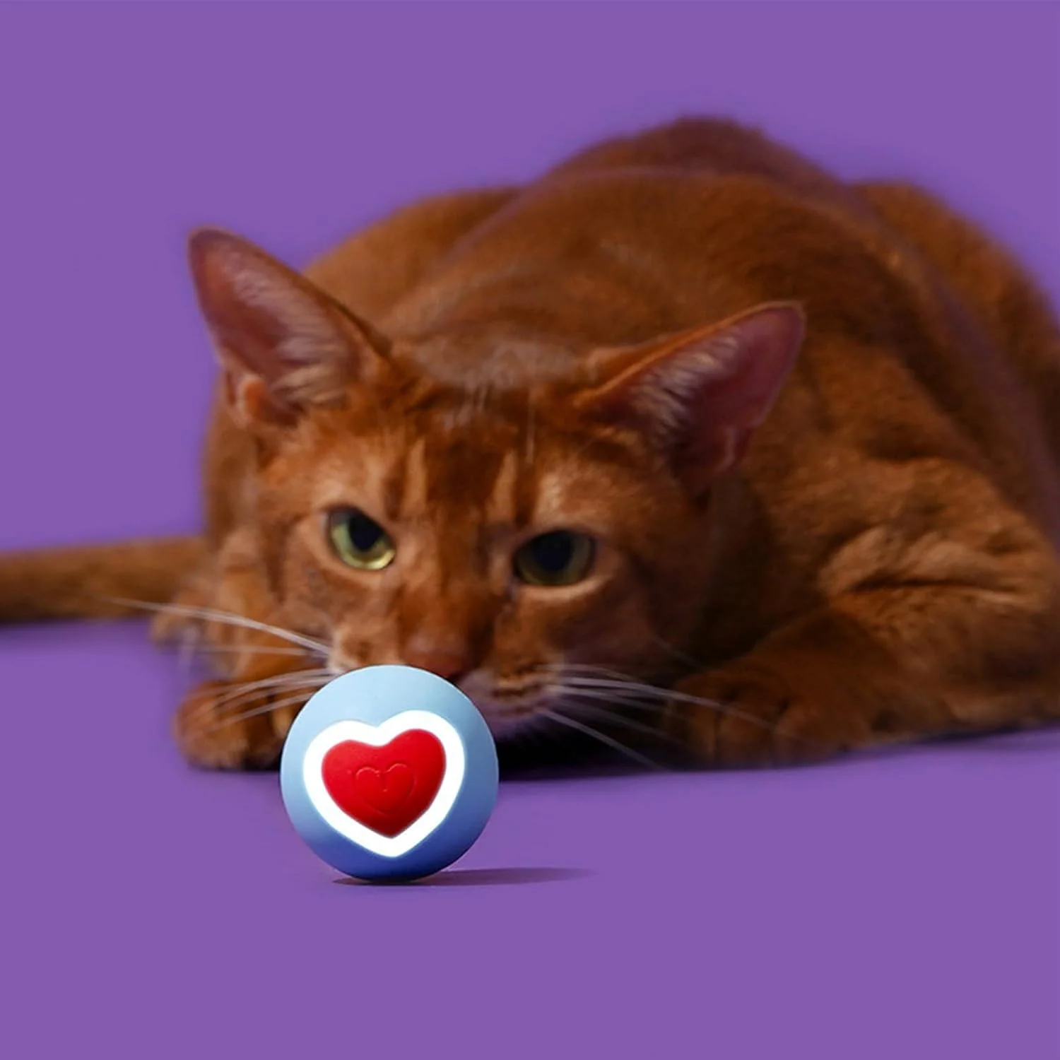 توپ لرزشی برای سگ ها، اسباب بازی چرخشی هوشمند برای بچه گربه - توپ چرخشی هوشمند تعاملی حیوانات خانگی برای تحریک شکار دندان درآوردن سگ ها و گربه ها غنی سازی تعقیب در فضای داخلی و خارجی