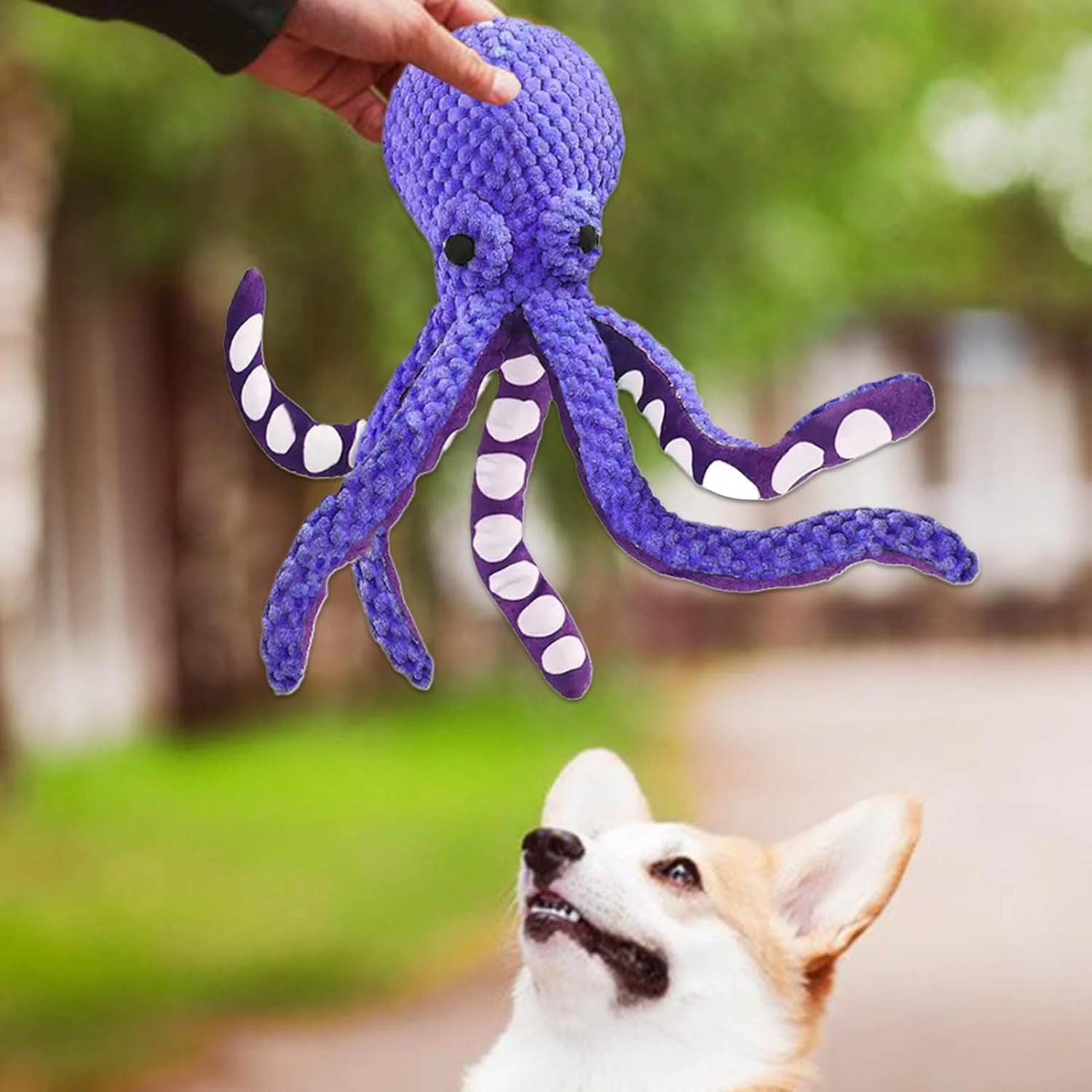 اسباب بازی اختاپوس سگ | اسباب بازی های نرم اختاپوسی سگ - بازی دندانی تعاملی با صدای جیر جیر برای بازی در فضای داخلی، حیاط خلوت، استخر، ساحل و فضای باز