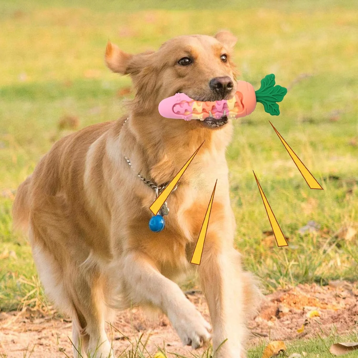 اسباب بازی جویدنی سگ، اسباب بازی تمیز کننده دندان سگ، محصول جویدنی حیوانات خانگی برای آموزش بازی در فضای داخلی و خارجی، آوردن، حمام، مسافرت، جعبه، تولد، کریسمس، هالووین، عید پاک اسباب بازی جویدنی سگ، اسباب بازی تمیز کننده دندان سگ، محصول جویدنی حیوانات خانگی برای آموزش بازی در فضای داخلی و خارجی، آوردن، حمام، مسافرت، جعبه، تولد، کریسمس، هالووین، عید پاک