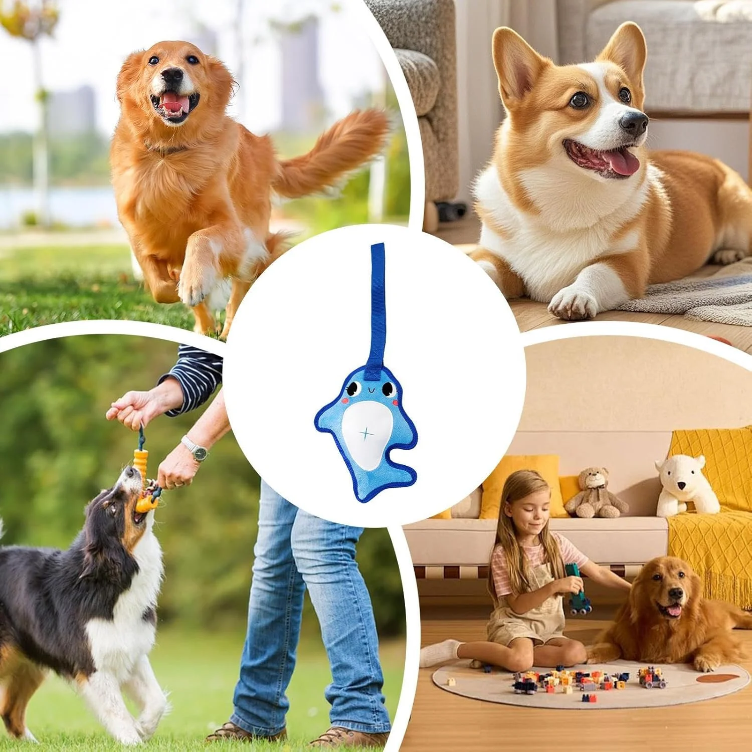 اسباب بازی سگ برای جویدن تهاجمی | اسباب بازی های سگ سخت برای مشغول نگه داشتن آنها - کشیدن طناب سخت اسباب بازی های جویدنی توله سگ برای آموزش غنی سازی، تحریک، تمیز کردن دندان ها و رفع بی حوصلگی اسباب بازی سگ برای جویدن تهاجمی | اسباب بازی های سگ سخت برای مشغول نگه داشتن آنها - کشیدن طناب سخت اسباب بازی های جویدنی توله سگ برای آموزش غنی سازی، تحریک، تمیز کردن دندان ها و رفع بی حوصلگی