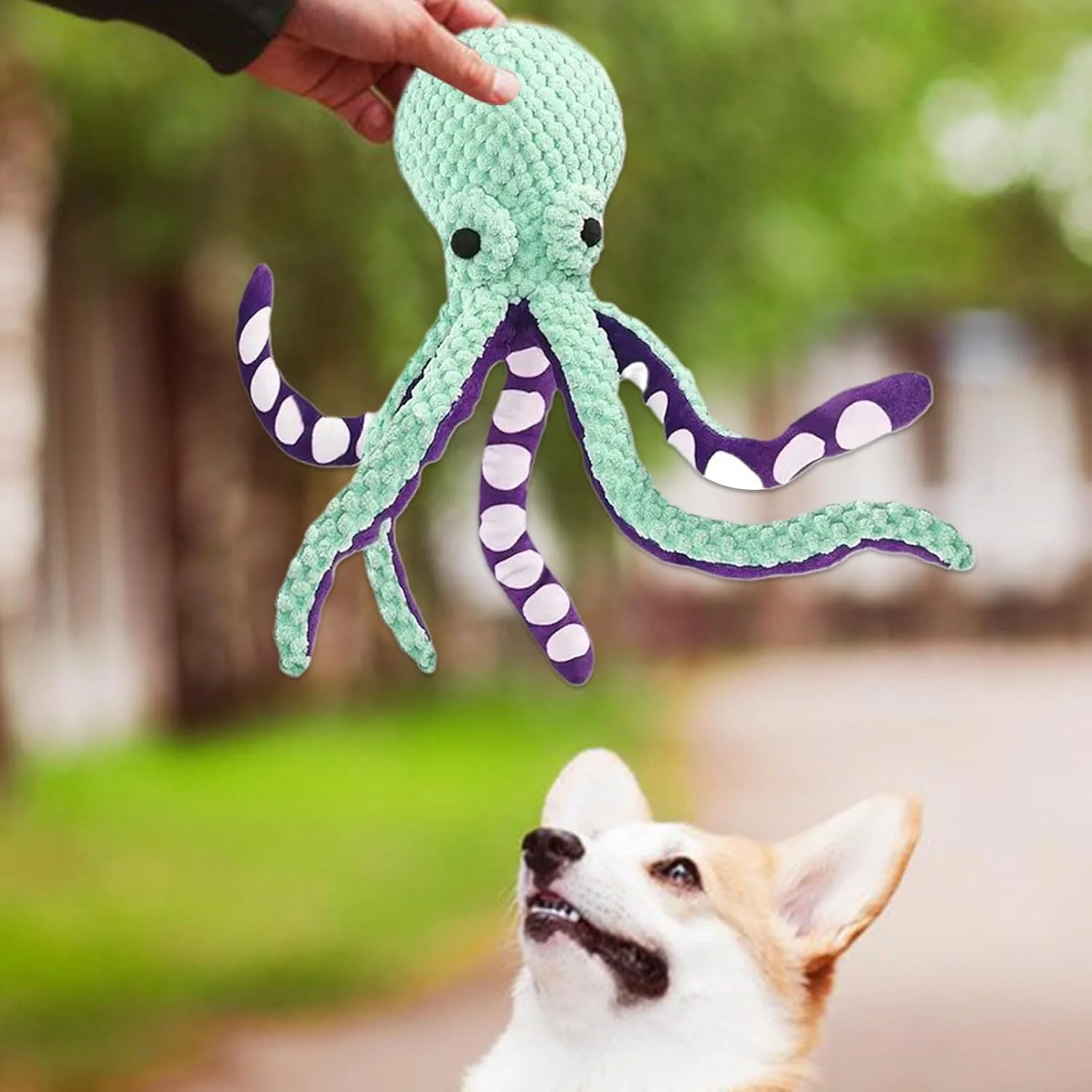 اسباب بازی اختاپوس سگ، اسباب بازی های پولیشی سگ - بازی دندانی تعاملی با صدای جیر جیر برای بازی در فضای داخلی حیاط خلوت استخر ساحل اسباب بازی اختاپوس سگ، اسباب بازی های پولیشی سگ - بازی دندانی تعاملی با صدای جیر جیر برای بازی در فضای داخلی حیاط خلوت استخر ساحل