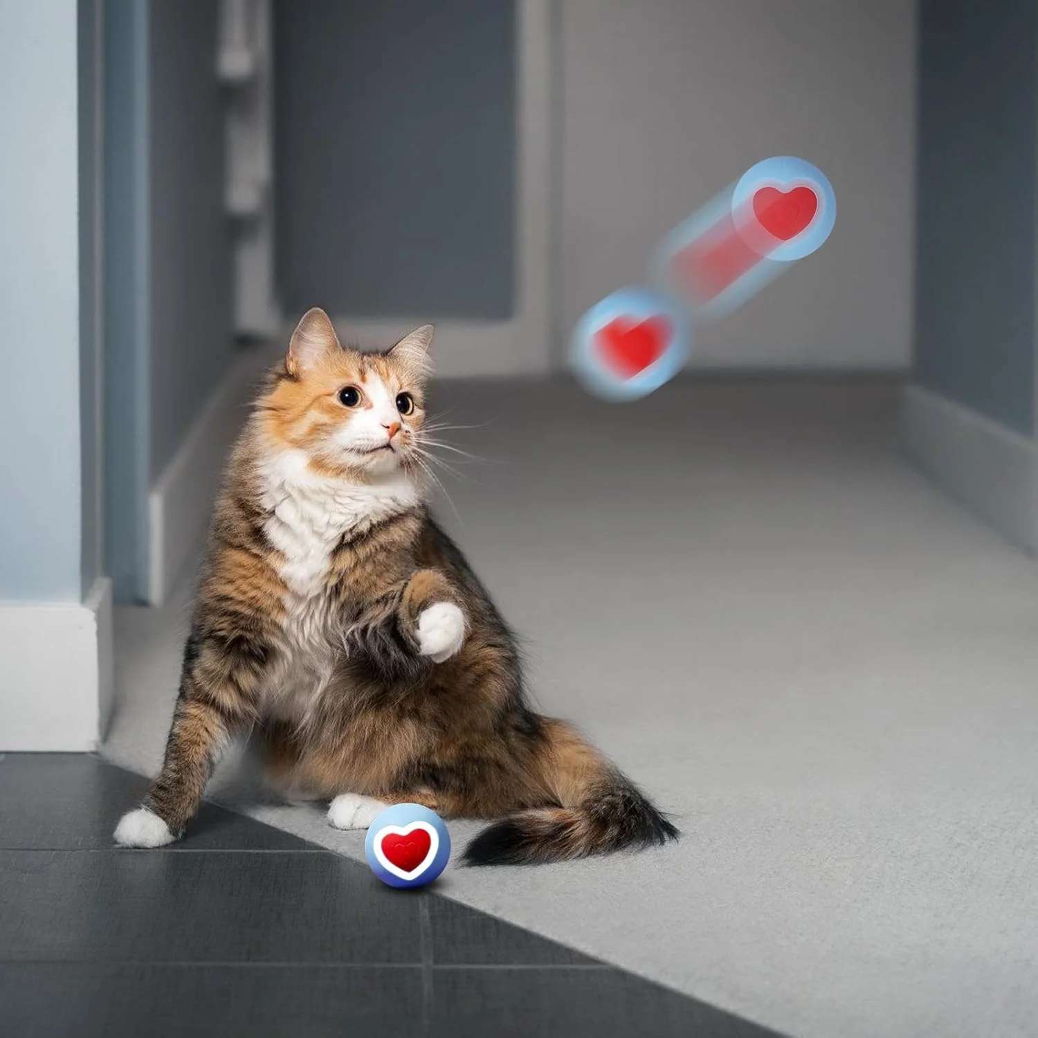 توپ جهشی سگ | اسباب بازی غلتکی برای رفع بی حوصلگی حیوانات خانگی، توپ غلتکی هوشمند تعاملی حیوانات خانگی برای تحریک دندان درآوردن، شکار، غنی سازی داخل و خارج از منزل سگ ها و گربه ها توپ جهشی سگ | اسباب بازی غلتکی برای رفع بی حوصلگی حیوانات خانگی، توپ غلتکی هوشمند تعاملی حیوانات خانگی برای تحریک دندان درآوردن، شکار، غنی سازی داخل و خارج از منزل سگ ها و گربه ها