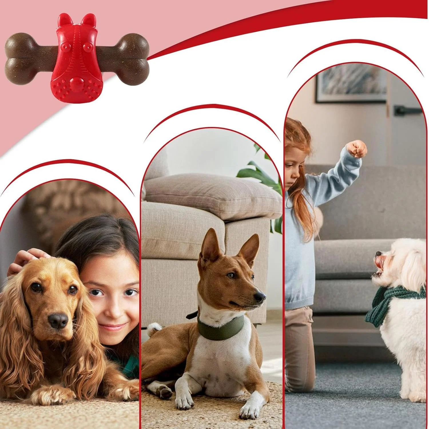 اسباب بازی جویدنی تهاجمی سگ - اسباب بازی جویدنی به شکل استخوان - آموزش دهنده تغذیه و جویدن سگ برای آموزش تغذیه، تحریک ذهنی، رفع بی حوصلگی، بازی در فضای داخلی اسباب بازی جویدنی تهاجمی سگ - اسباب بازی جویدنی به شکل استخوان - آموزش دهنده تغذیه و جویدن سگ برای آموزش تغذیه، تحریک ذهنی، رفع بی حوصلگی، بازی در فضای داخلی