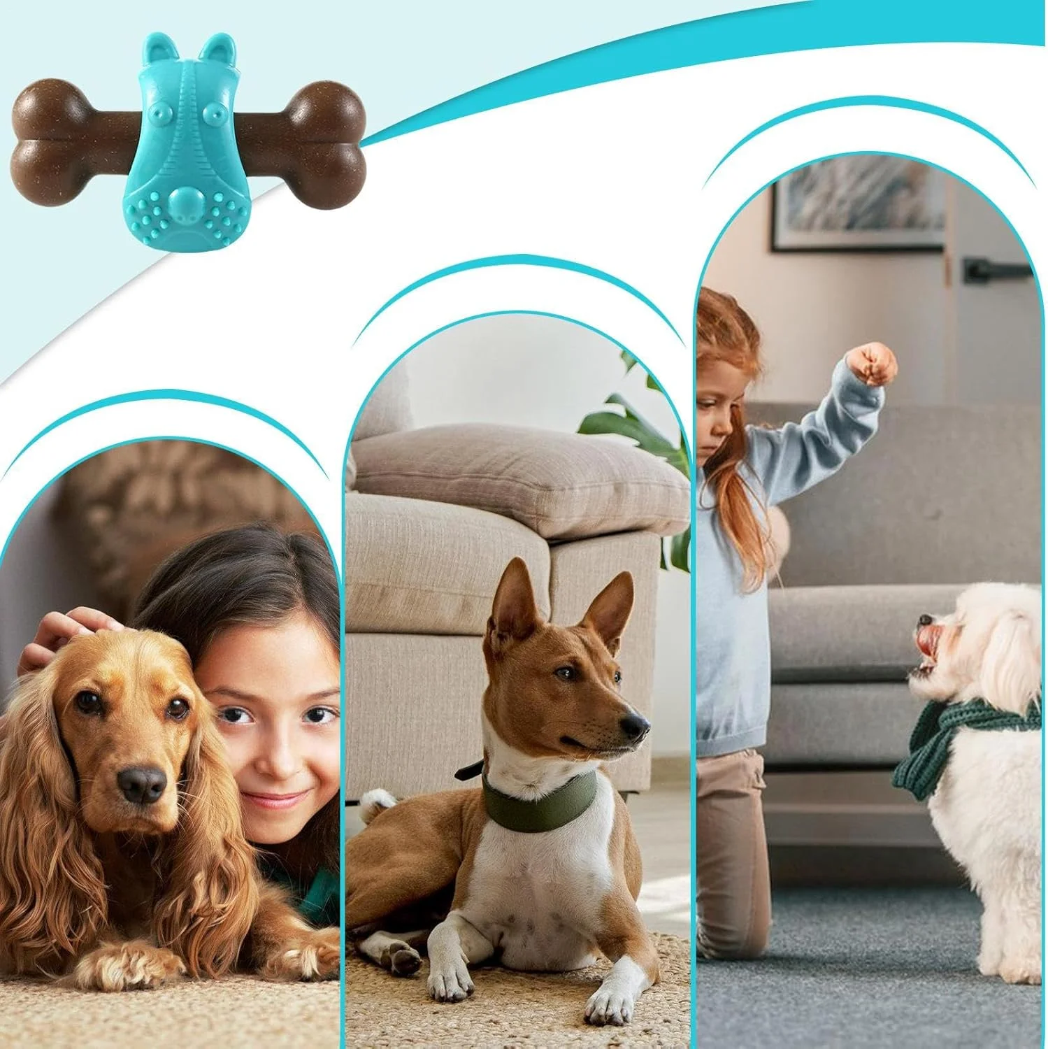 اسباب بازی های جویدنی - استخوان شکل، غذاده آهسته توله سگ | غذاده پازلی محرک برای جویدن، تحریک ذهنی، دندان درآوردن، آموزش تغذیه سگ و توله سگ، مناسب فضای باز و داخل خانه اسباب بازی های جویدنی - استخوان شکل، غذاده آهسته توله سگ | غذاده پازلی محرک برای جویدن، تحریک ذهنی، دندان درآوردن، آموزش تغذیه سگ و توله سگ، مناسب فضای باز و داخل خانه