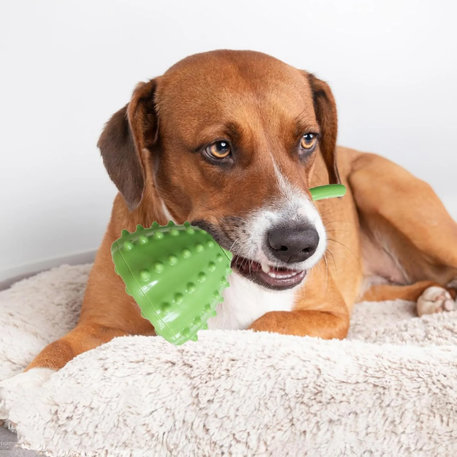 اسباب بازی پخش کننده تشویقی سگ | اسباب بازی تعاملی سگ | مسواک جویدنی پخش کننده لوازم حیوانات خانگی برای ترویج تغذیه آهسته، کاهش استرس، بازی توله سگ، آموزش و غنی سازی غذا