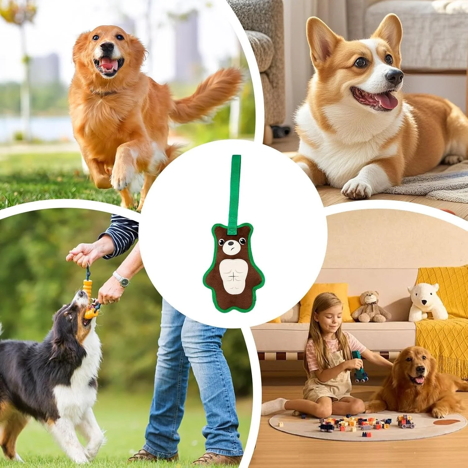 اسباب بازی سگ تعاملی جیرجیر کننده | اسباب بازی سگ مقاوم برای طناب کشی، اسباب بازی جویدنی توله سگ جیرجیر کننده مقاوم برای آموزش غنی سازی، تحریک، تمیز کردن دندان ها و رفع خستگی اسباب بازی سگ تعاملی جیرجیر کننده | اسباب بازی سگ مقاوم برای طناب کشی، اسباب بازی جویدنی توله سگ جیرجیر کننده مقاوم برای آموزش غنی سازی، تحریک، تمیز کردن دندان ها و رفع خستگی