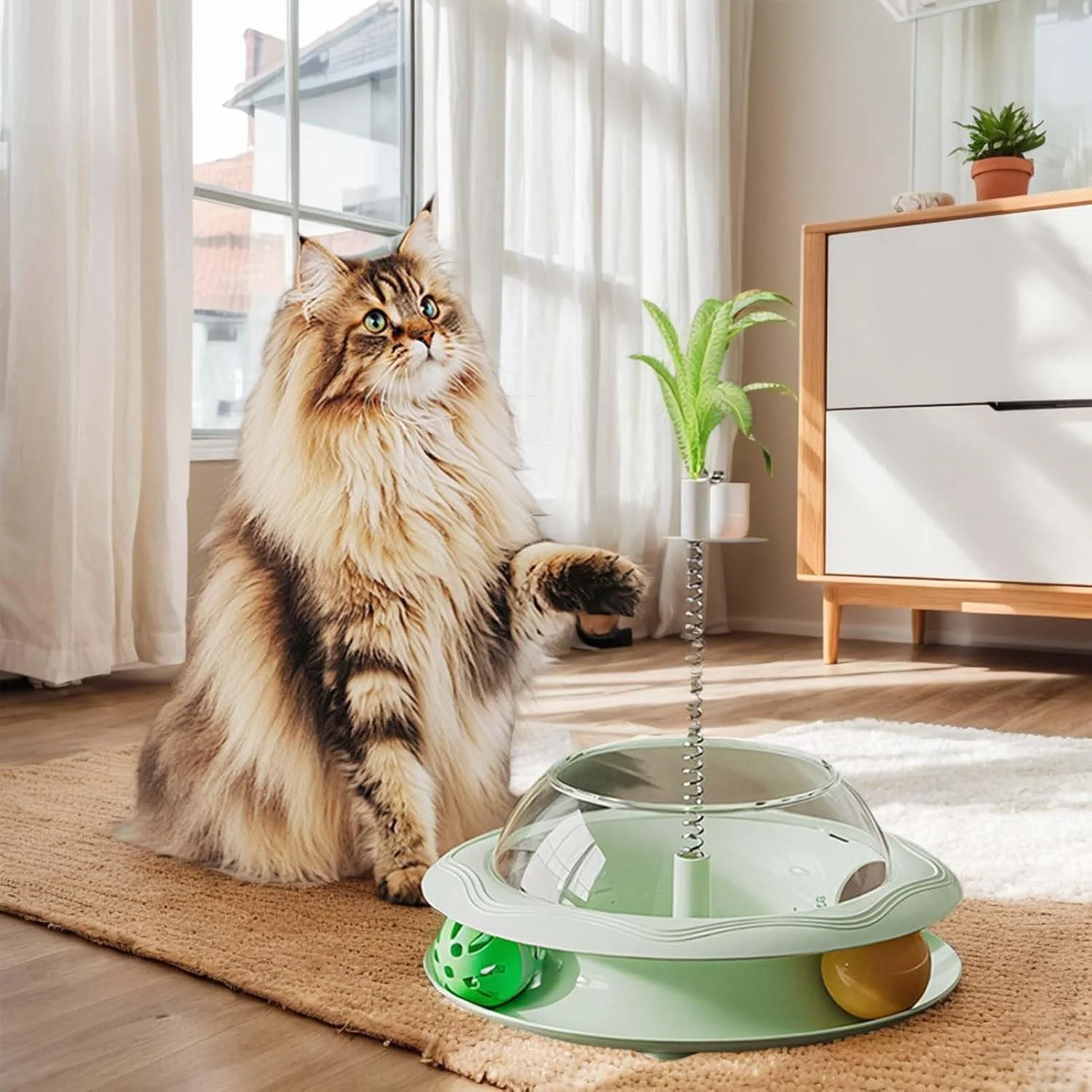 اسباب بازی پخش کننده تشویقی گربه، اسباب بازی های تعاملی گربه با چوب بازی فنری و توپ، بازی تغذیه سرگرم کننده برای شبیه سازی شکار و آموزش حیوانات خانگی در فضای داخلی اسباب بازی پخش کننده تشویقی گربه، اسباب بازی های تعاملی گربه با چوب بازی فنری و توپ، بازی تغذیه سرگرم کننده برای شبیه سازی شکار و آموزش حیوانات خانگی در فضای داخلی