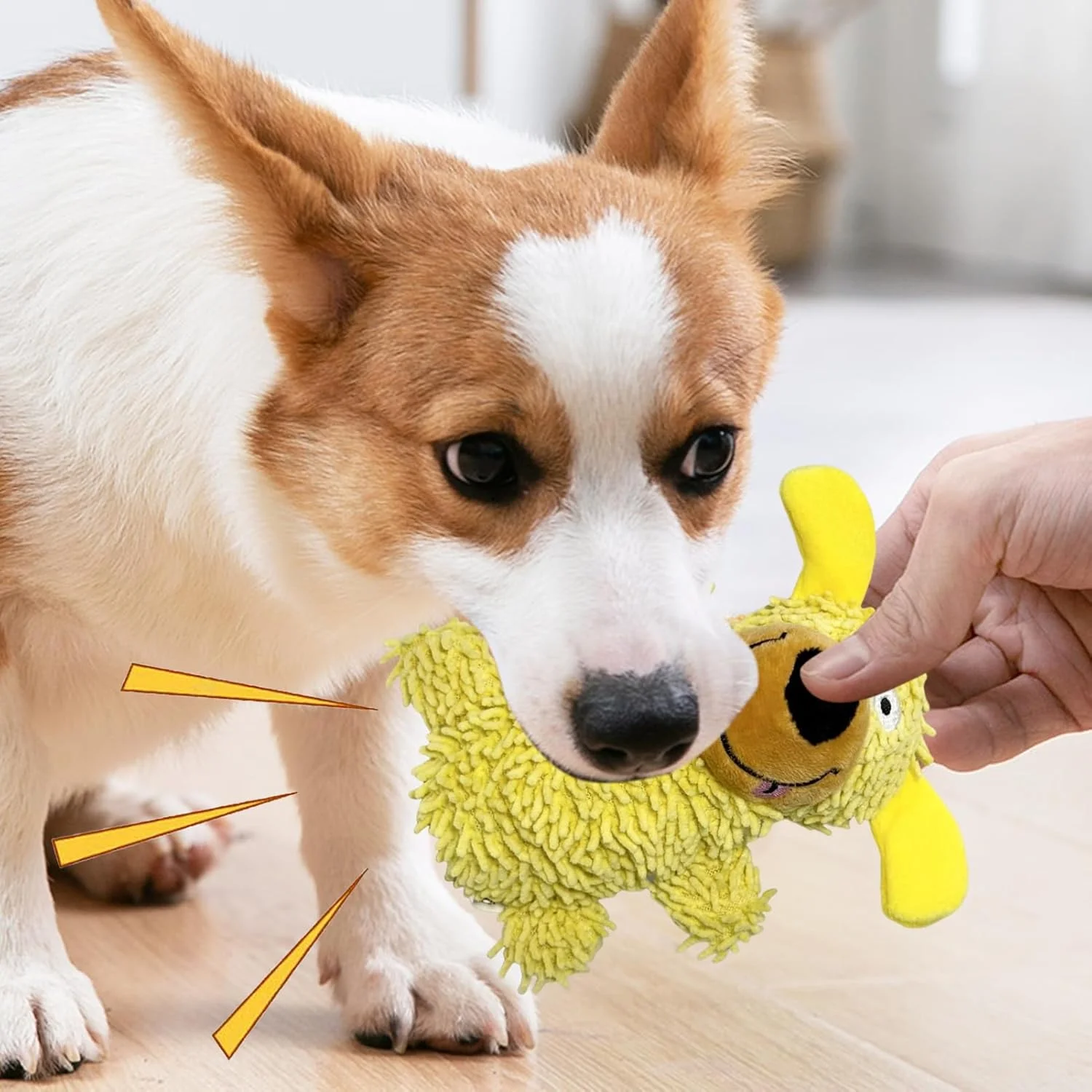 اسباب بازی سوت دار سگ، اسباب بازی های سوت دار پولیشی برای جویدن تهاجمی | عروسک نرم لوازم جانبی توله سگ برای تحریک دندان درآوردن نژادهای متوسط و بزرگ، آنها را مشغول نگه می دارد، تمرین آموزشی اسباب بازی سوت دار سگ، اسباب بازی های سوت دار پولیشی برای جویدن تهاجمی | عروسک نرم لوازم جانبی توله سگ برای تحریک دندان درآوردن نژادهای متوسط و بزرگ، آنها را مشغول نگه می دارد، تمرین آموزشی