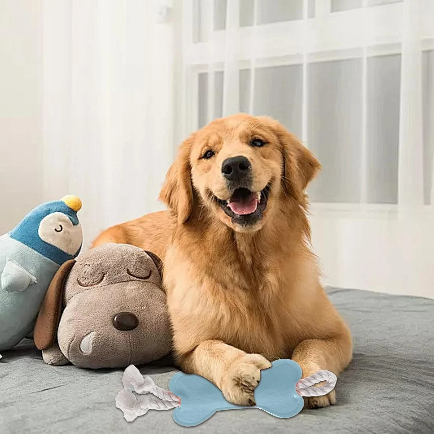 طناب جویدنی سگ، اسباب بازی گاز گرفتن توله سگ به شکل استخوان، طناب پنبه ای کششی دندان درآوردن تعاملی سگ برای جویدن تهاجمی نژادهای توله سگ کوچک بزرگ متوسط در فضای داخلی و خارجی طناب جویدنی سگ، اسباب بازی گاز گرفتن توله سگ به شکل استخوان، طناب پنبه ای کششی دندان درآوردن تعاملی سگ برای جویدن تهاجمی نژادهای توله سگ کوچک بزرگ متوسط در فضای داخلی و خارجی